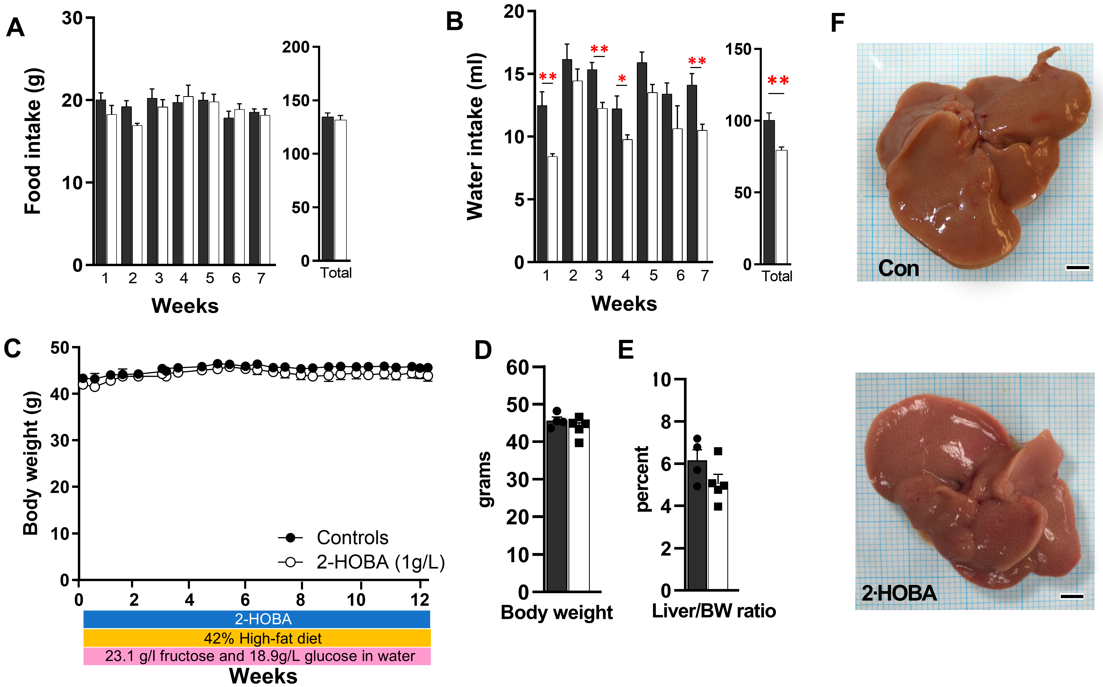 Nutrients 17 00610 g003
