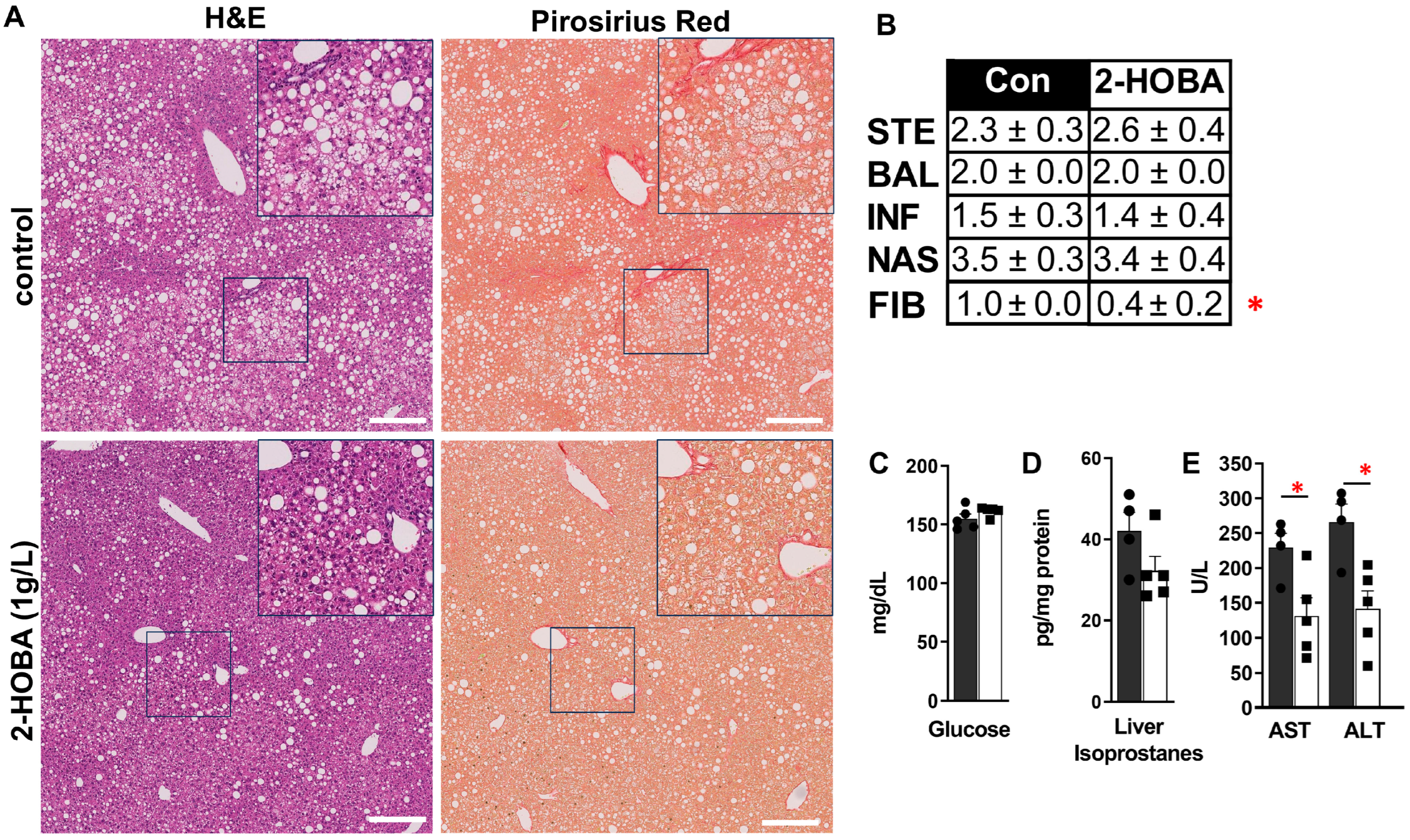 Nutrients 17 00610 g004