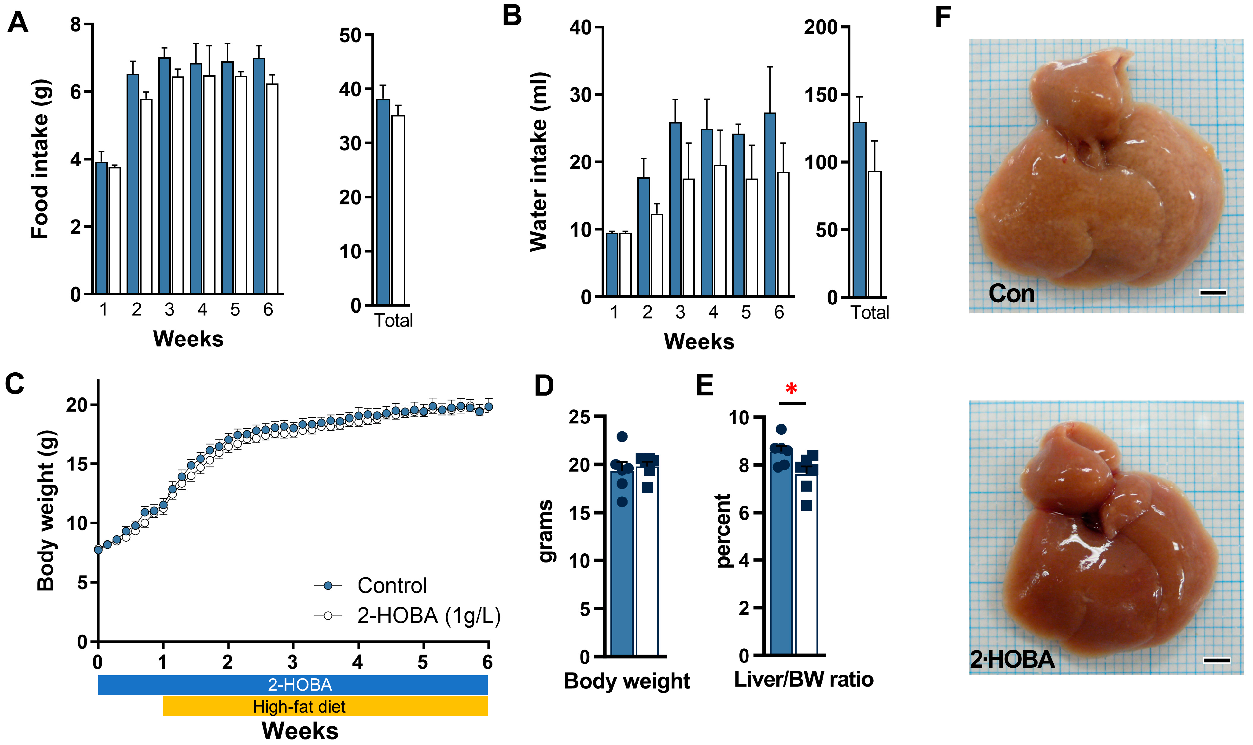 Nutrients 17 00610 g005