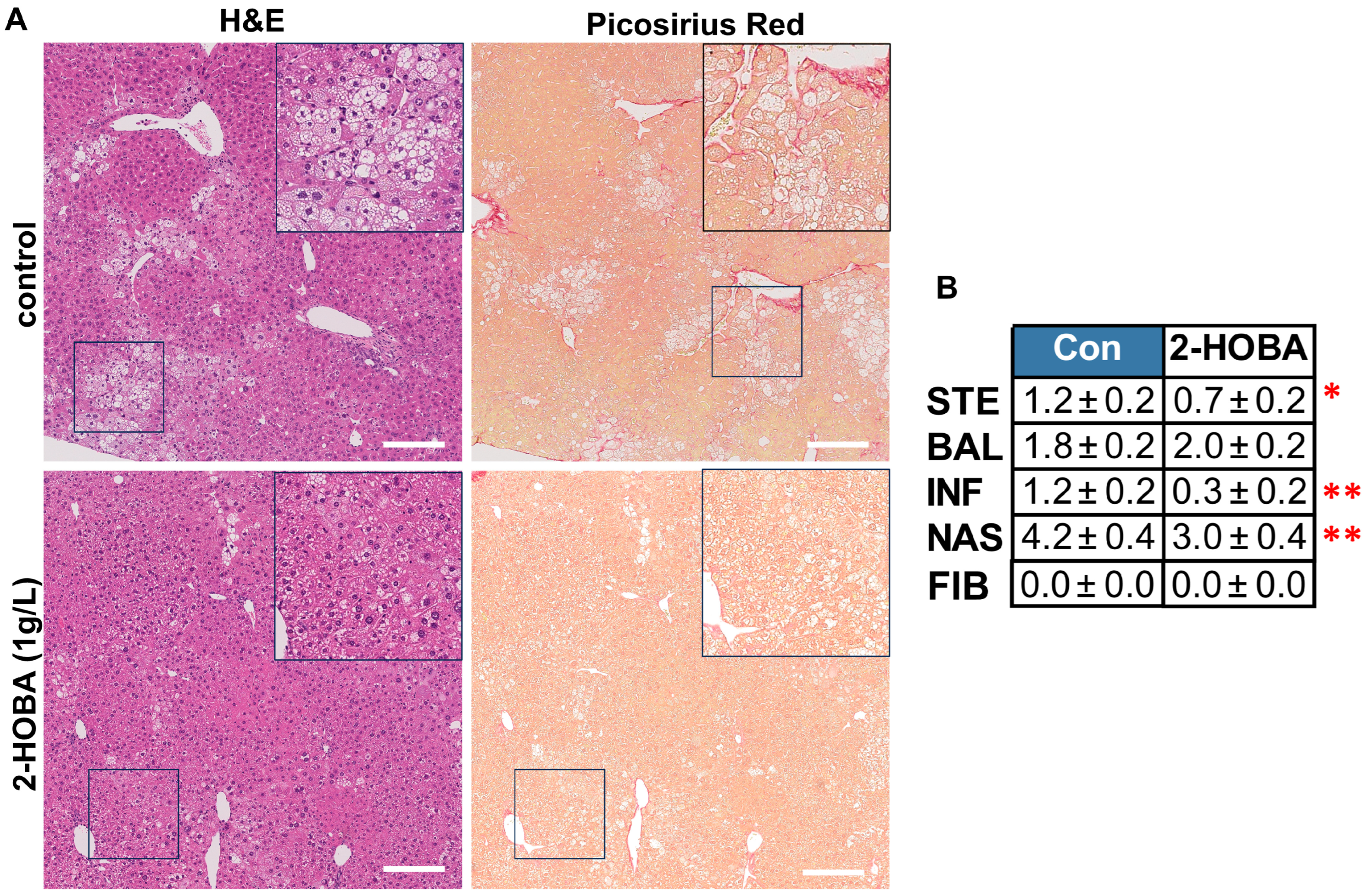 Nutrients 17 00610 g007