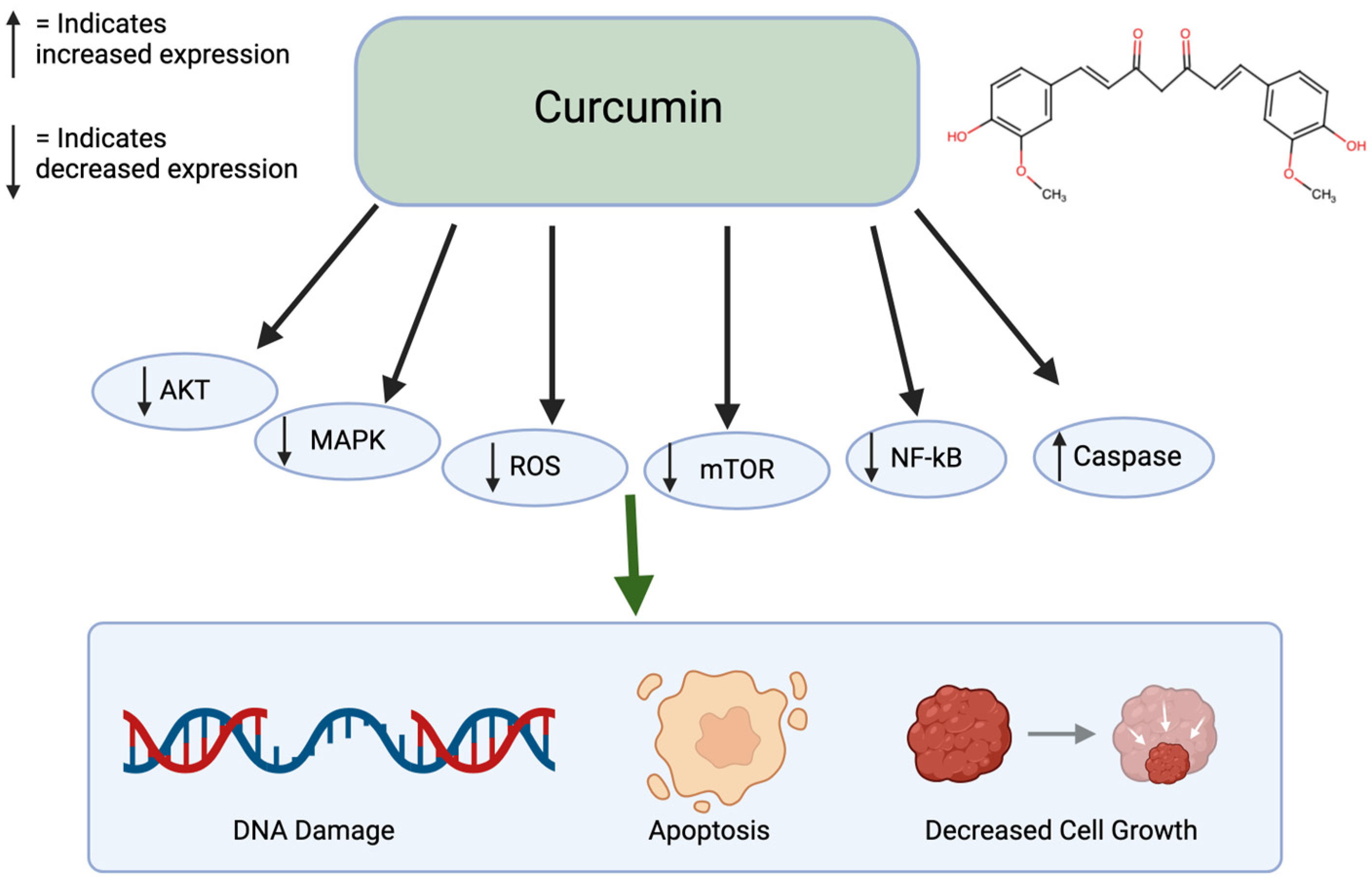 Nutrients 17 00616 g002