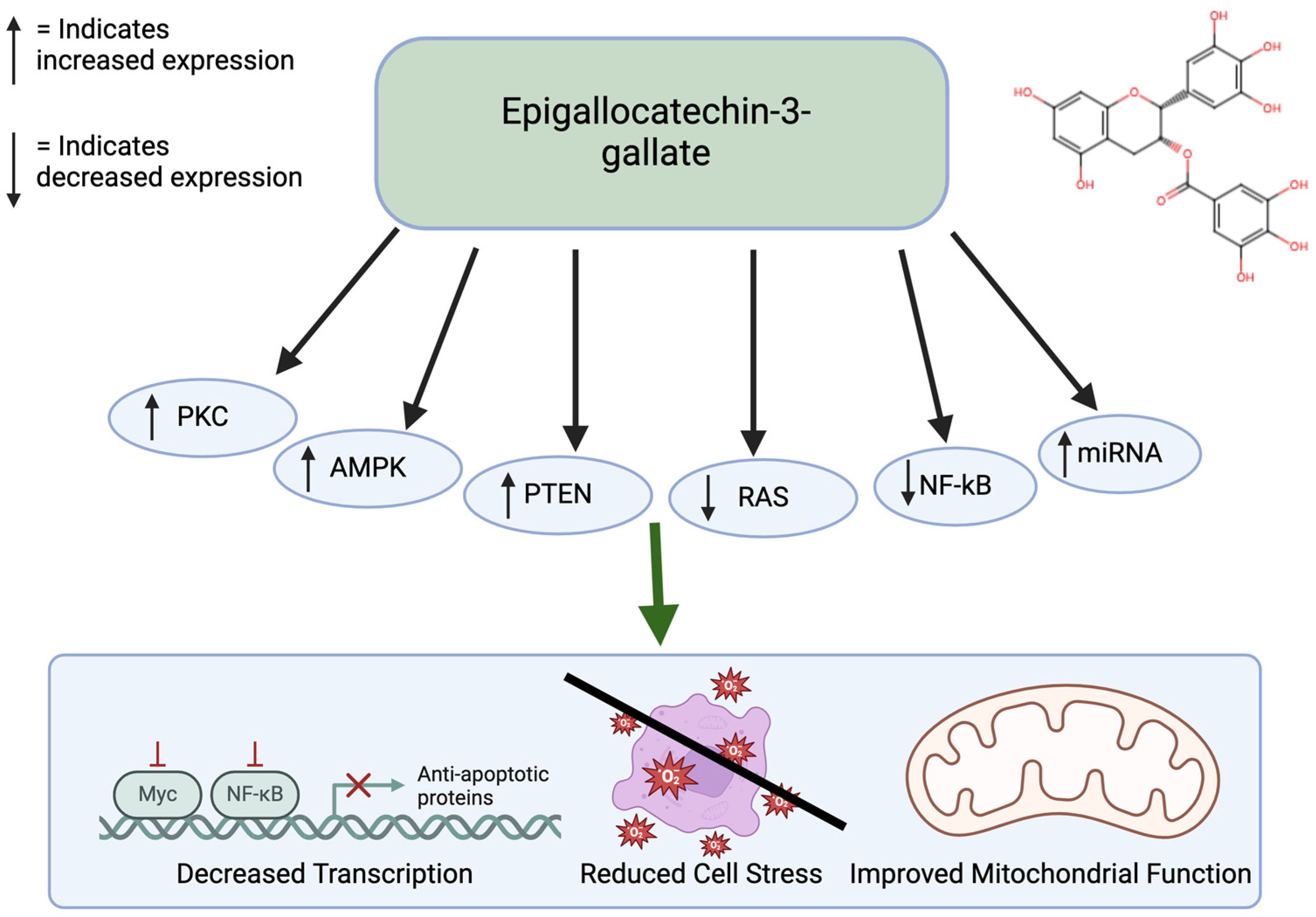 Nutrients 17 00616 g004