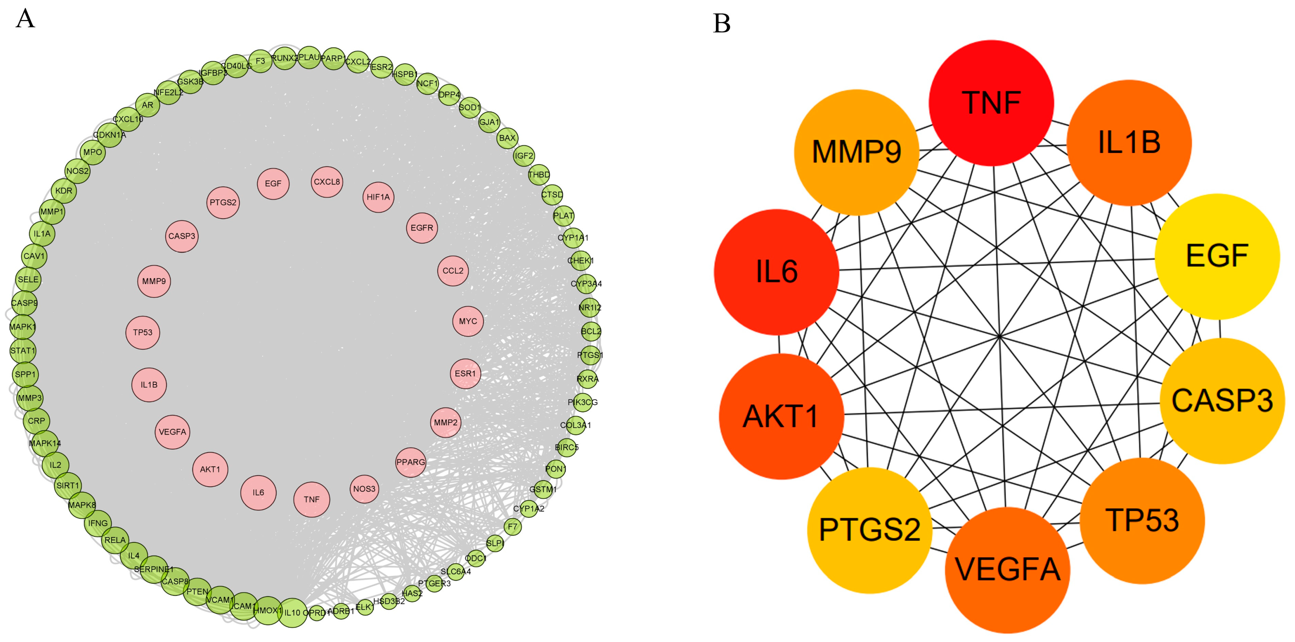Nutrients 17 00627 g005