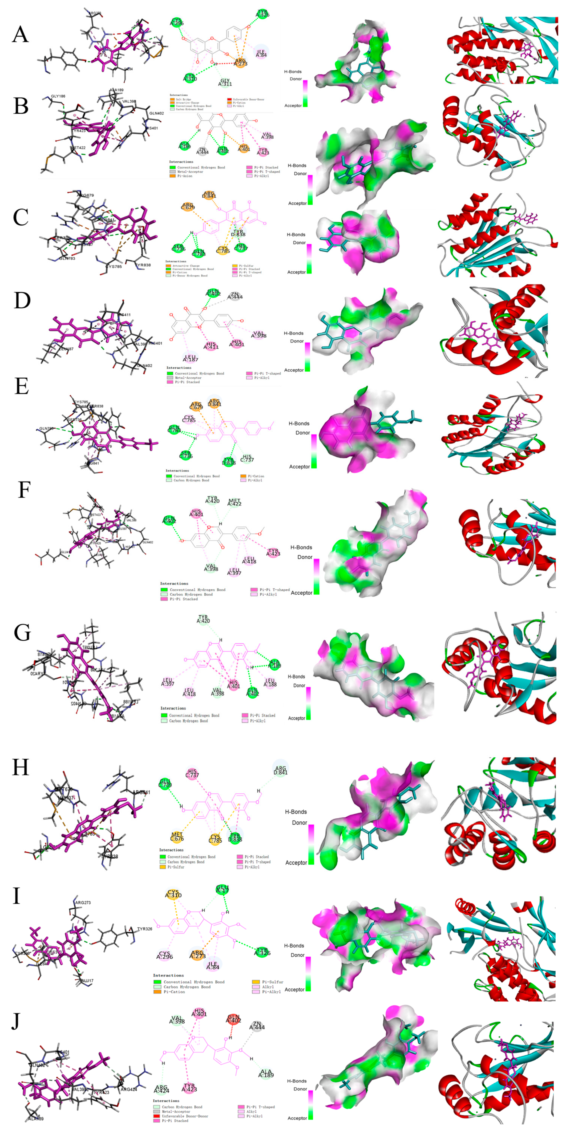 Nutrients 17 00627 g008