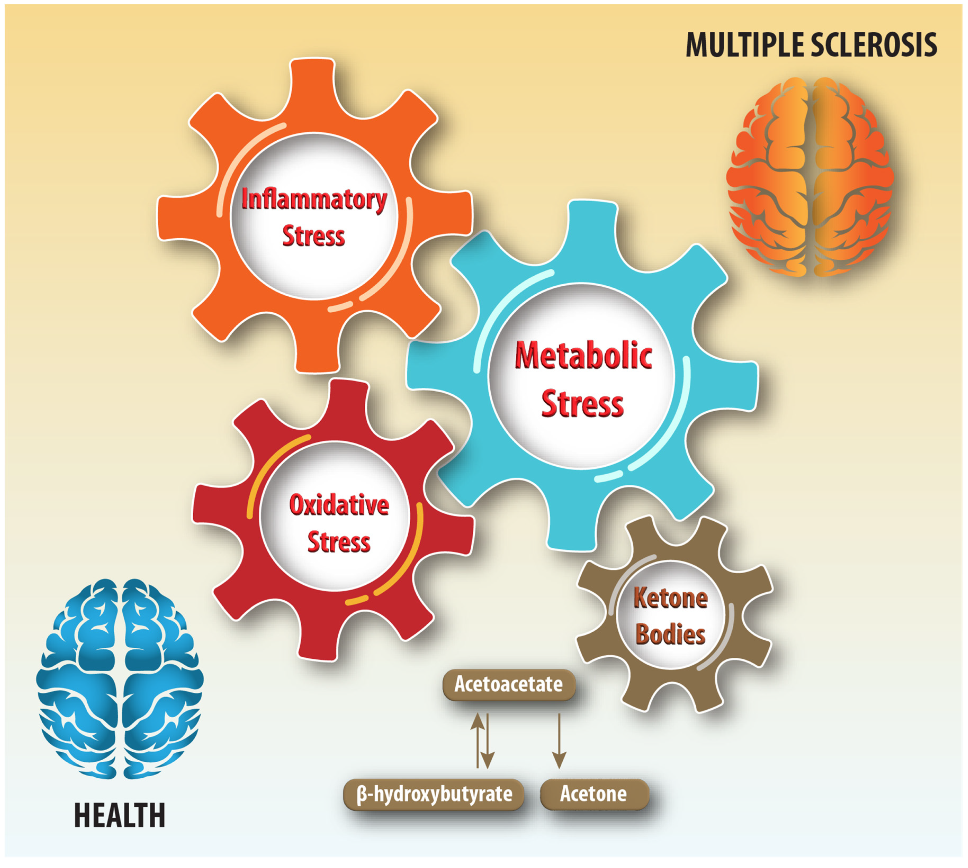 Nutrients 17 00640 g001