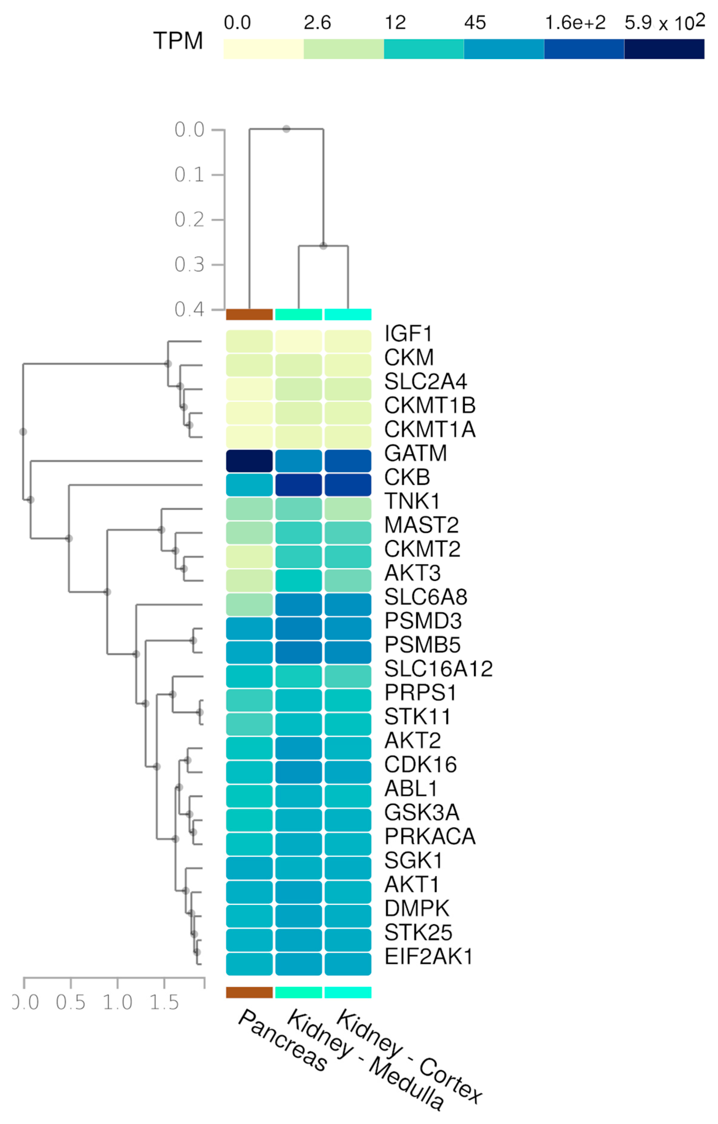 Nutrients 17 00651 g005