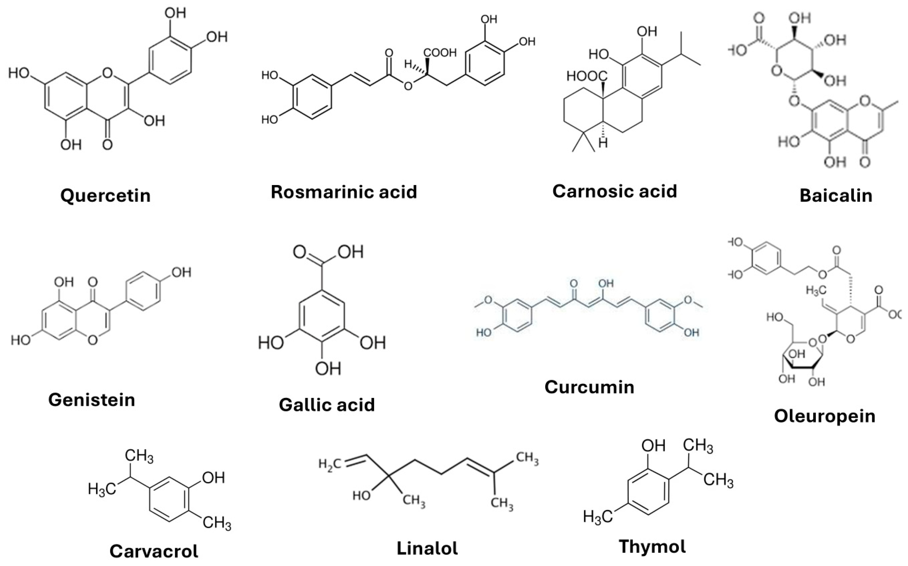 Nutrients 17 00653 g001