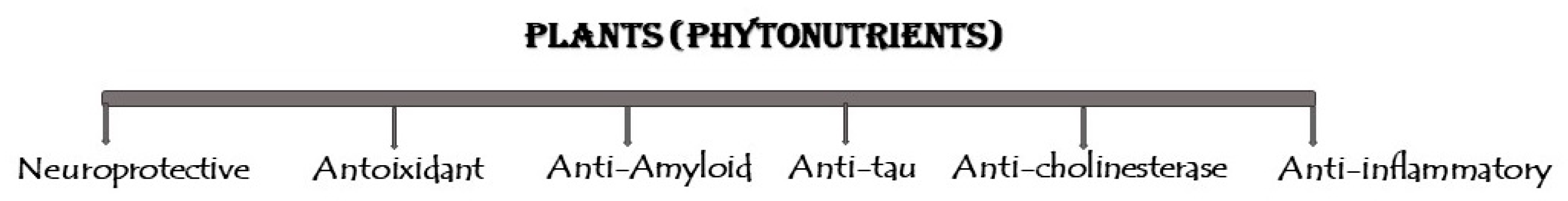 Nutrients 17 00653 g002