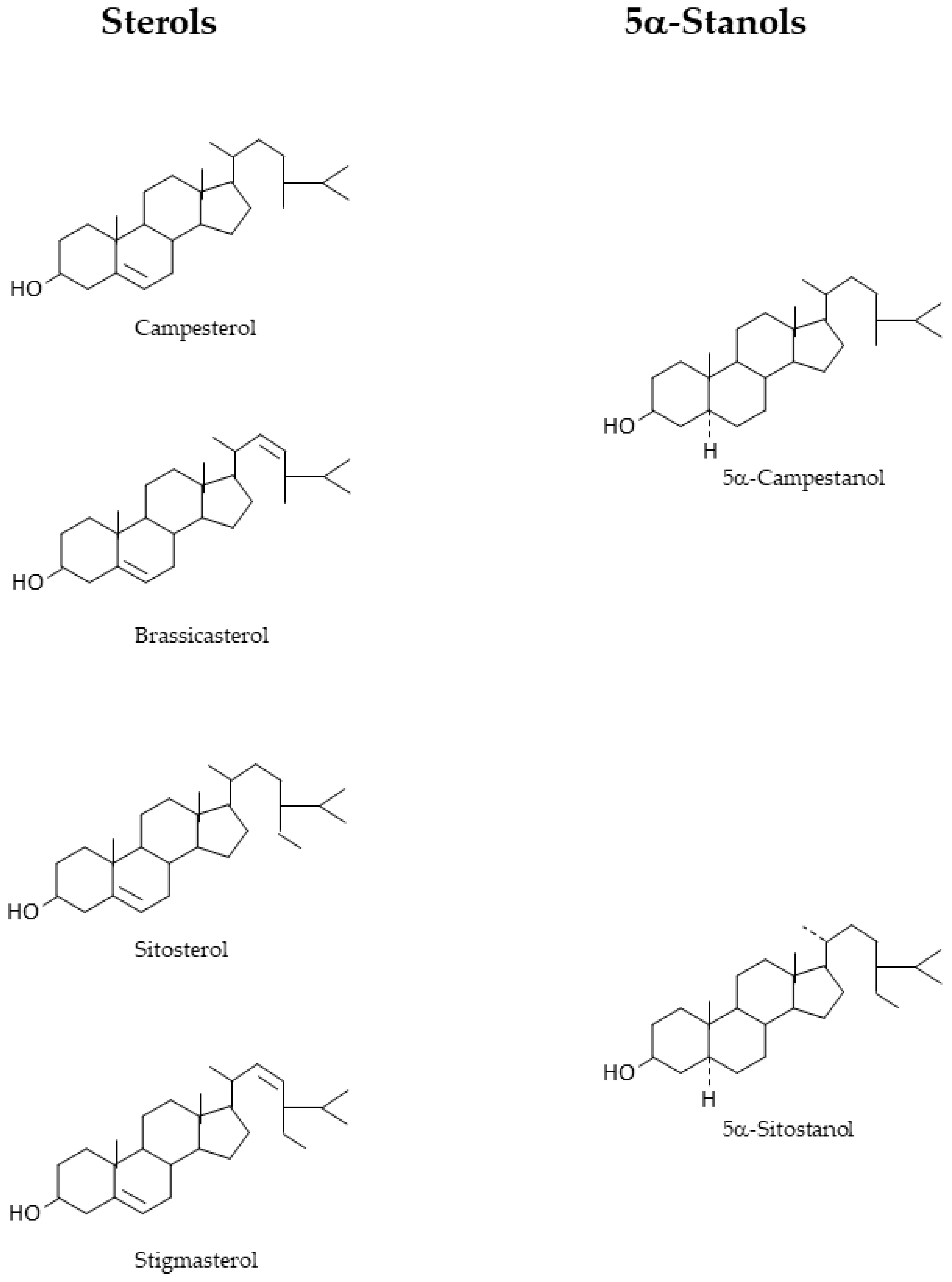 Nutrients 17 00654 g001
