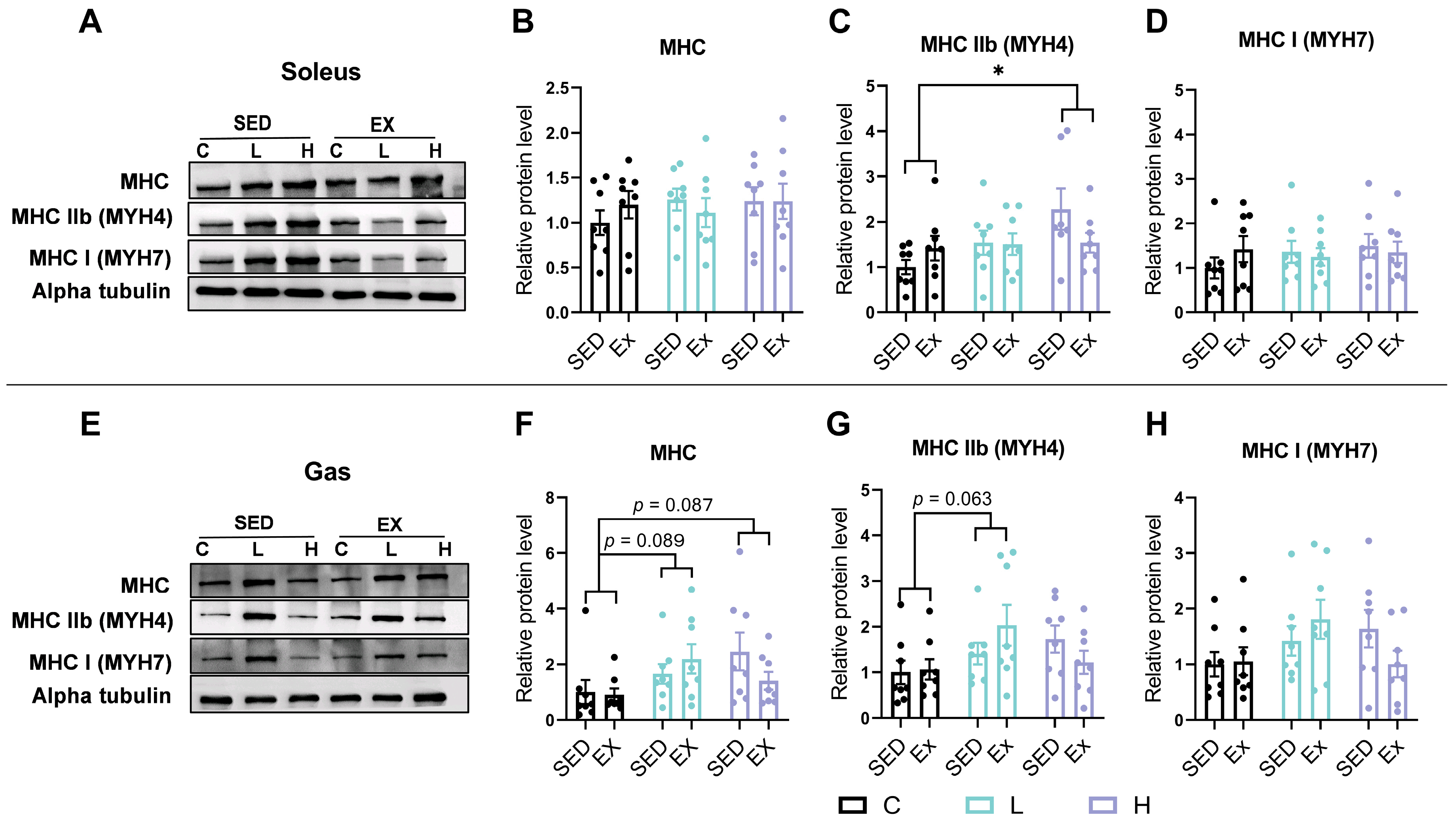Nutrients 17 00668 g006