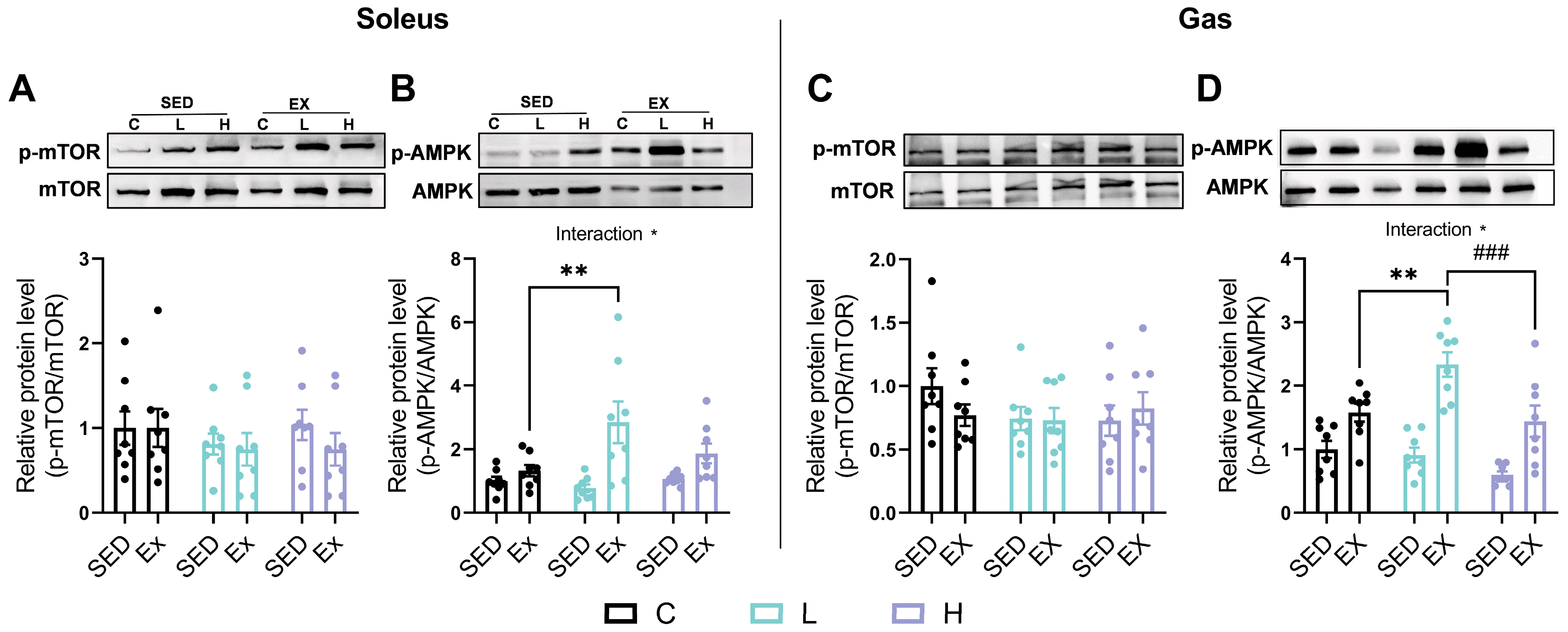 Nutrients 17 00668 g009