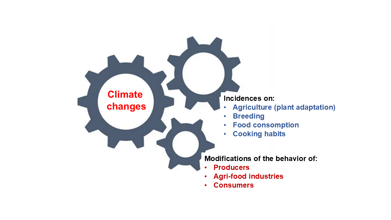 Nutrients 17 00677 graphical
