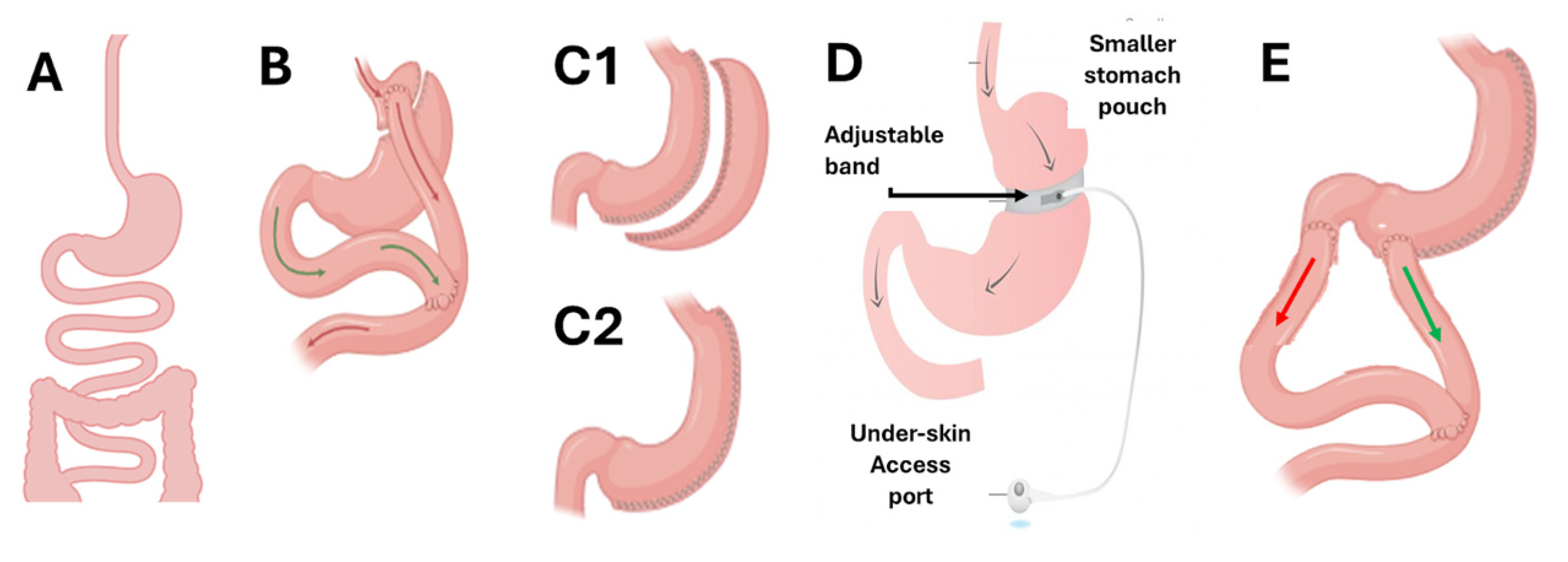 Nutrients 17 00688 g002