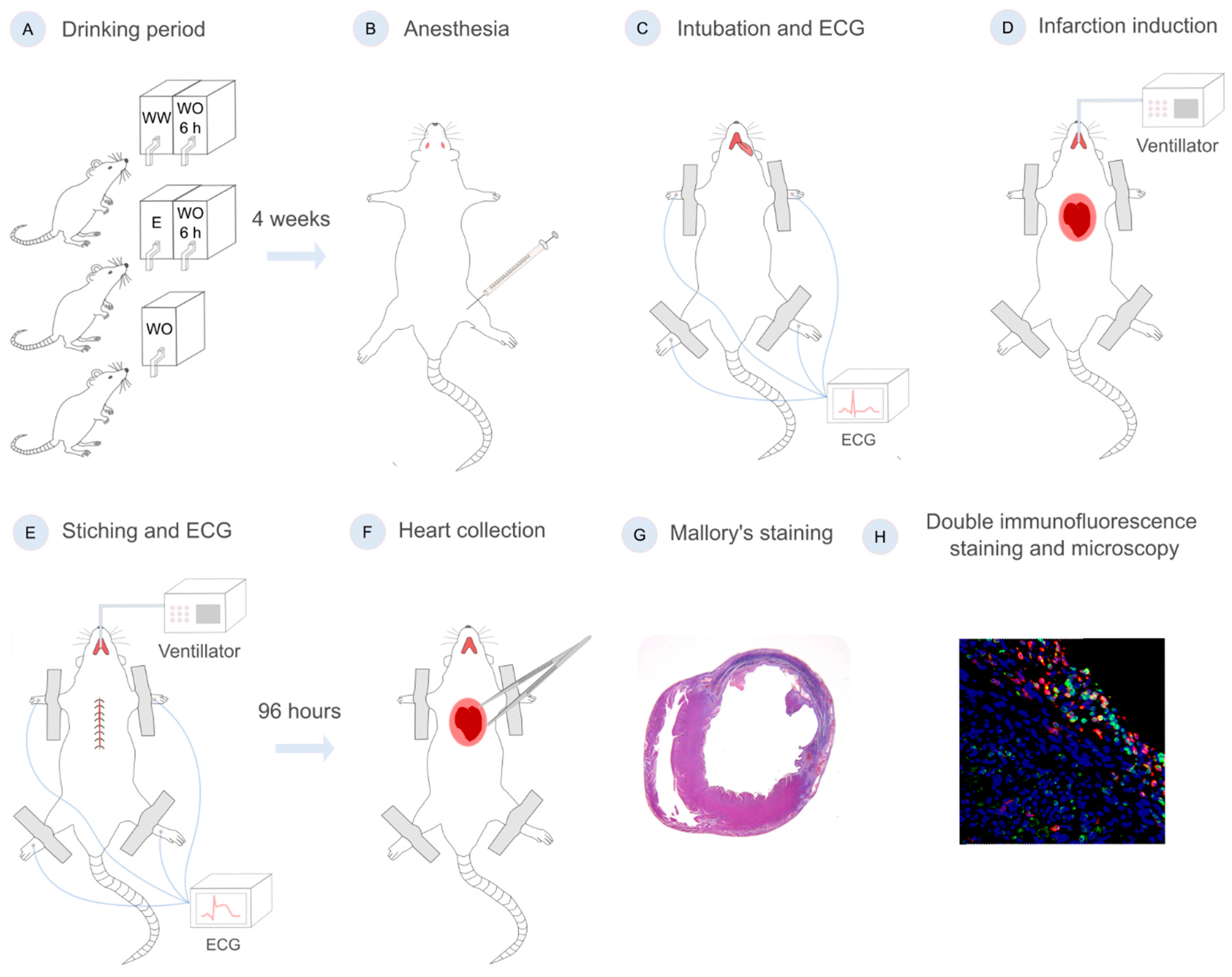 Nutrients 17 00699 g002