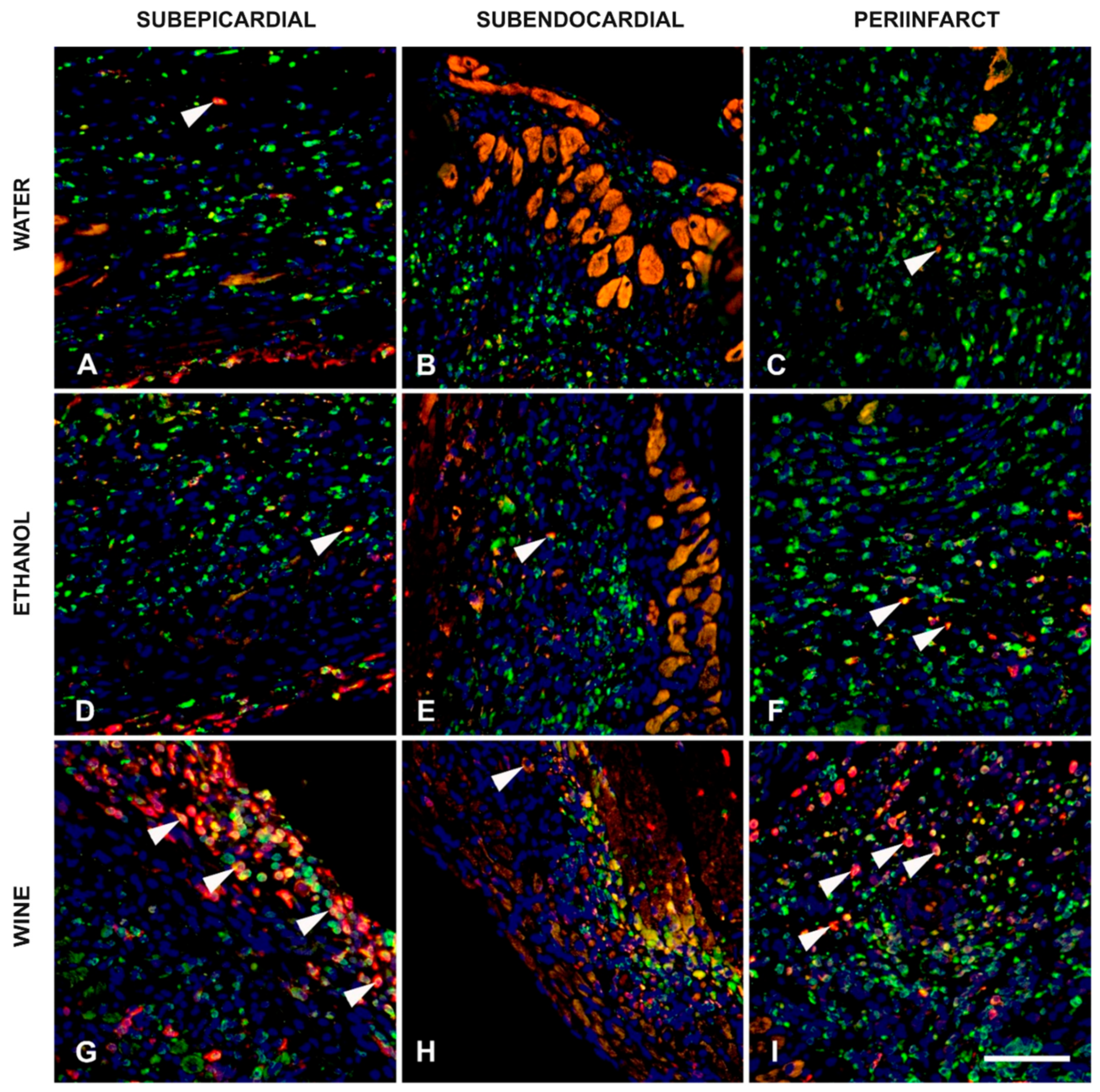 Nutrients 17 00699 g004