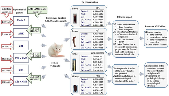 Nutrients 17 00702 g001