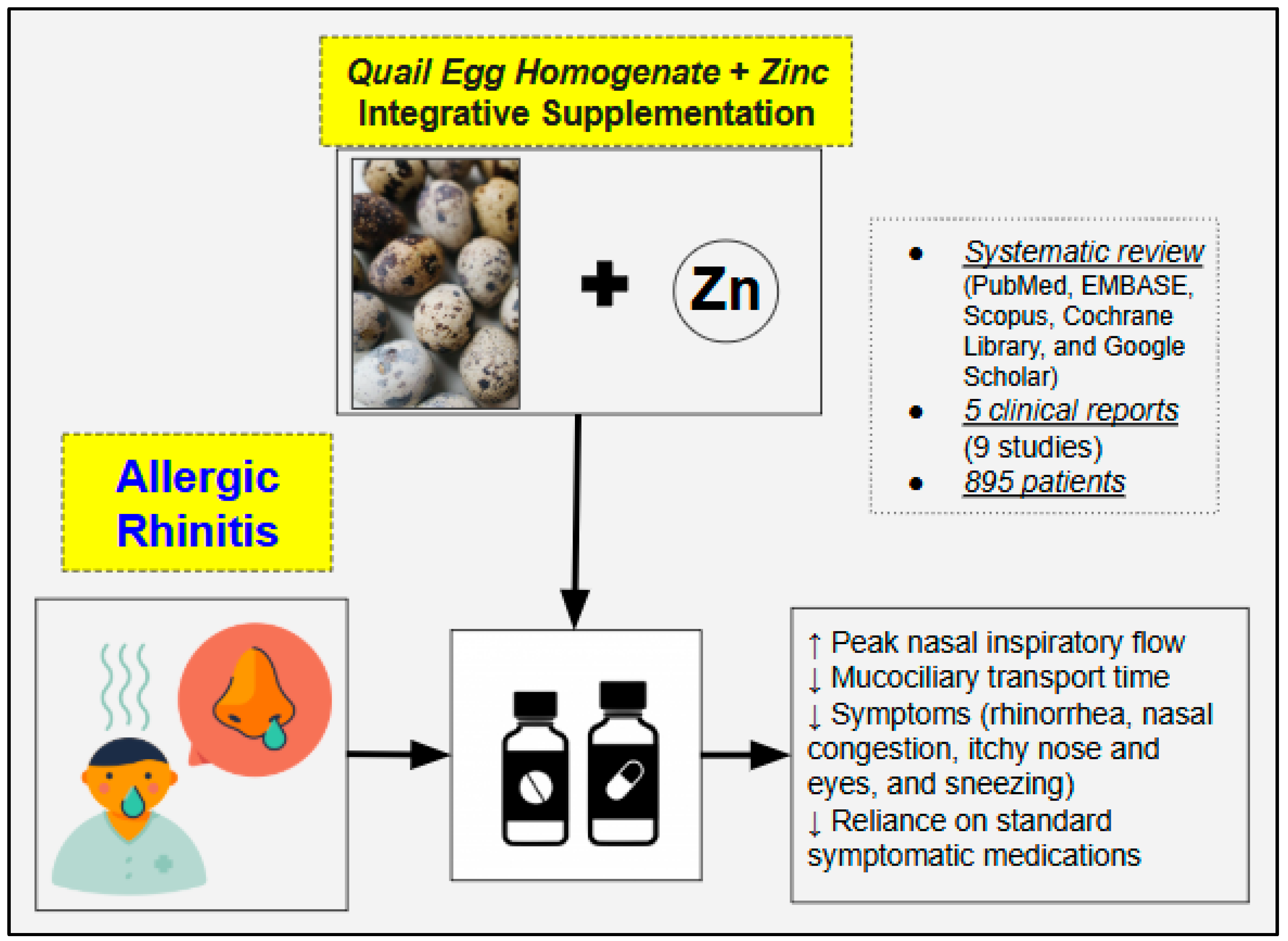 Nutrients 17 00712 g002