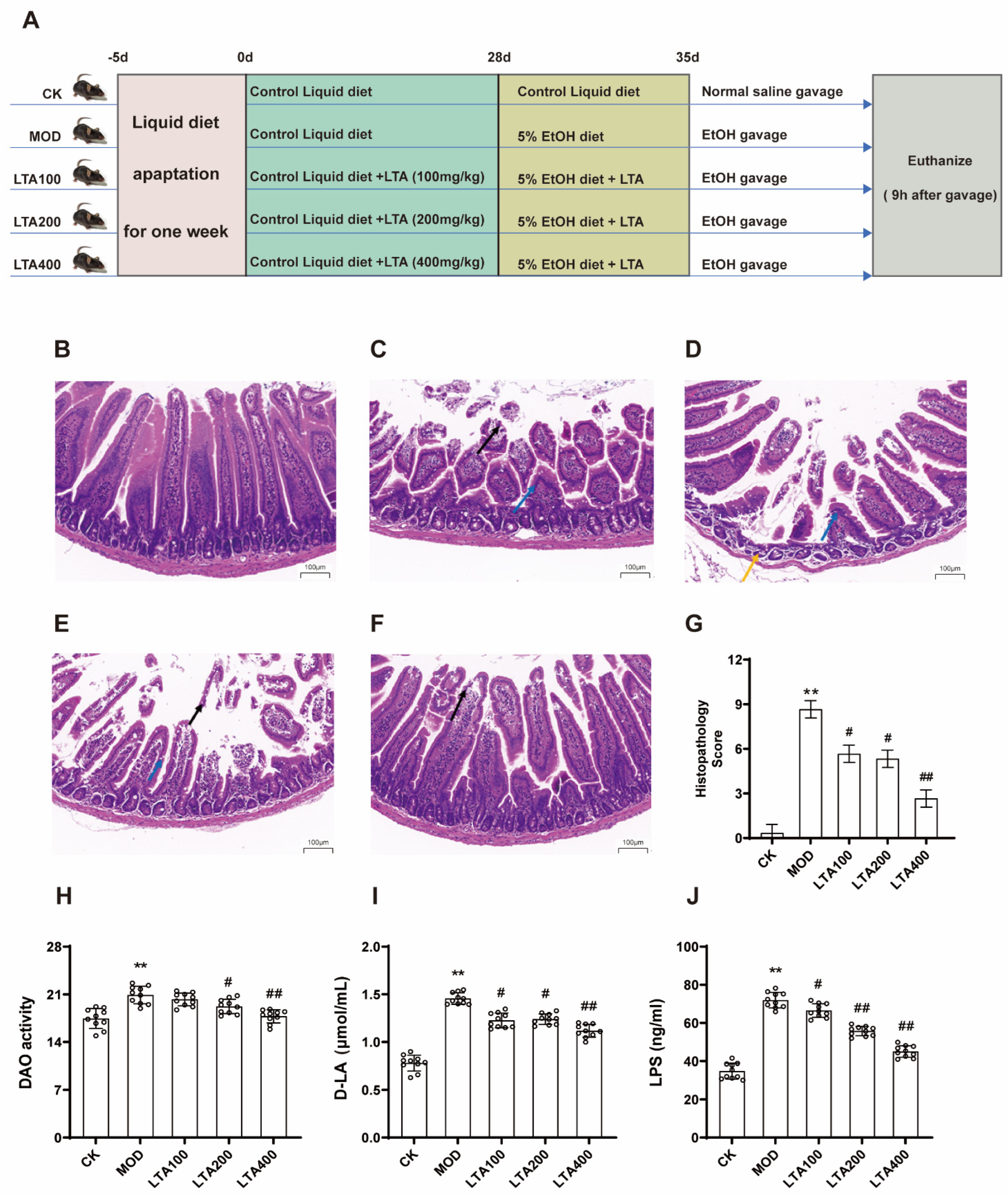 Nutrients 17 00720 g001