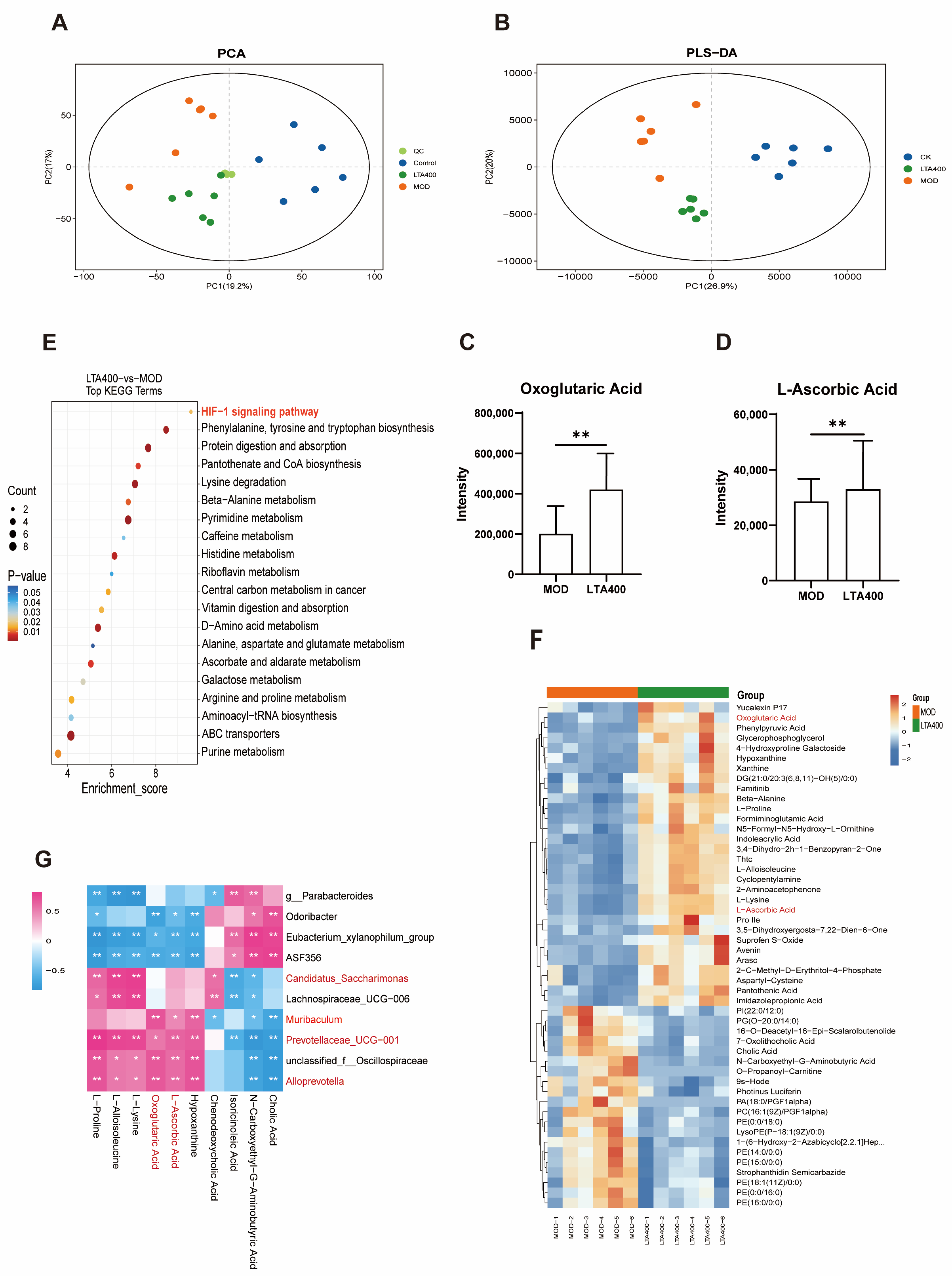 Nutrients 17 00720 g004