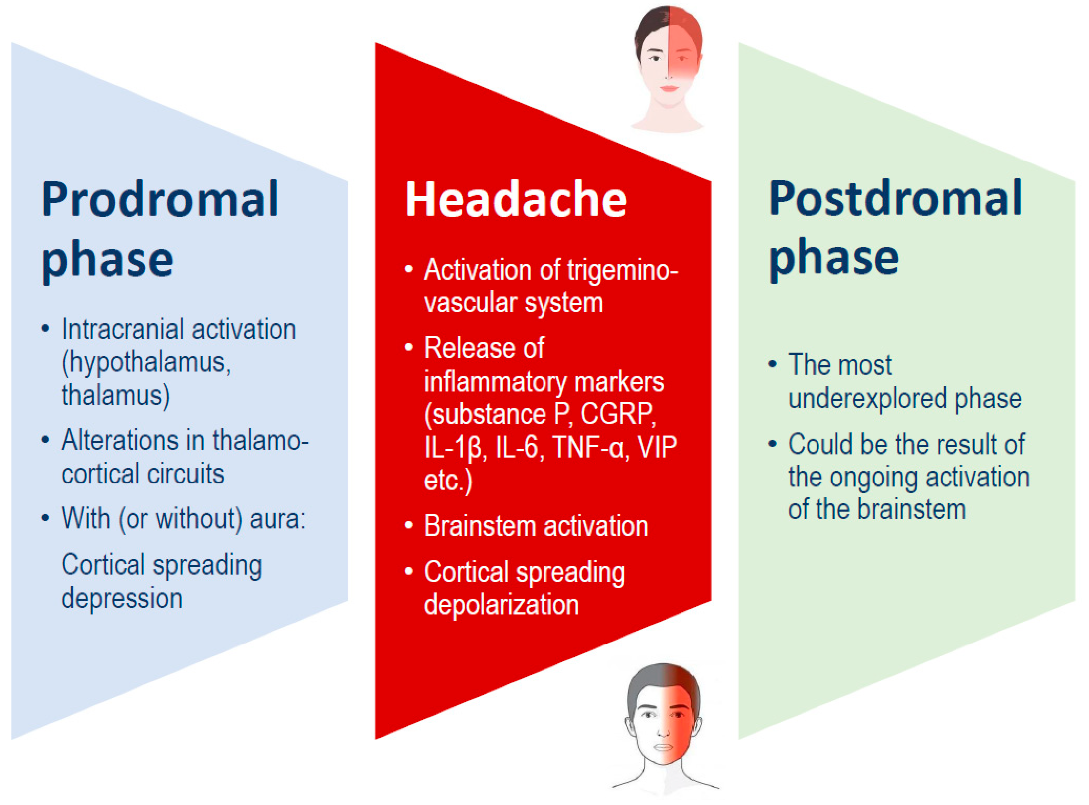 Nutrients 17 00725 g001
