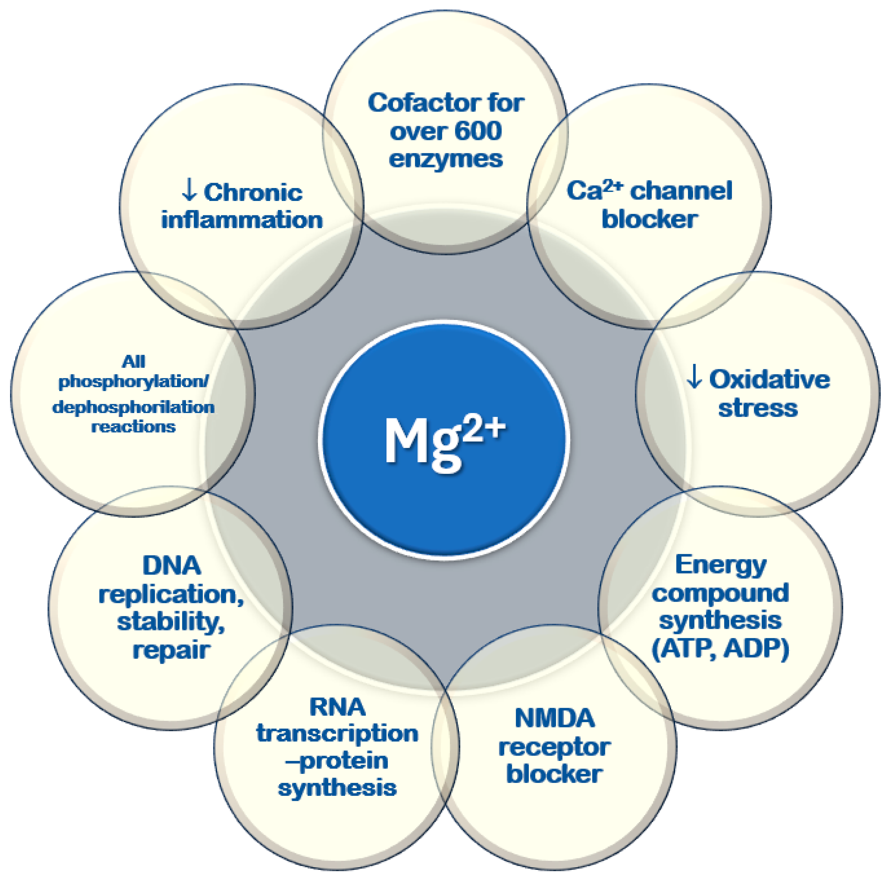 Nutrients 17 00725 g003
