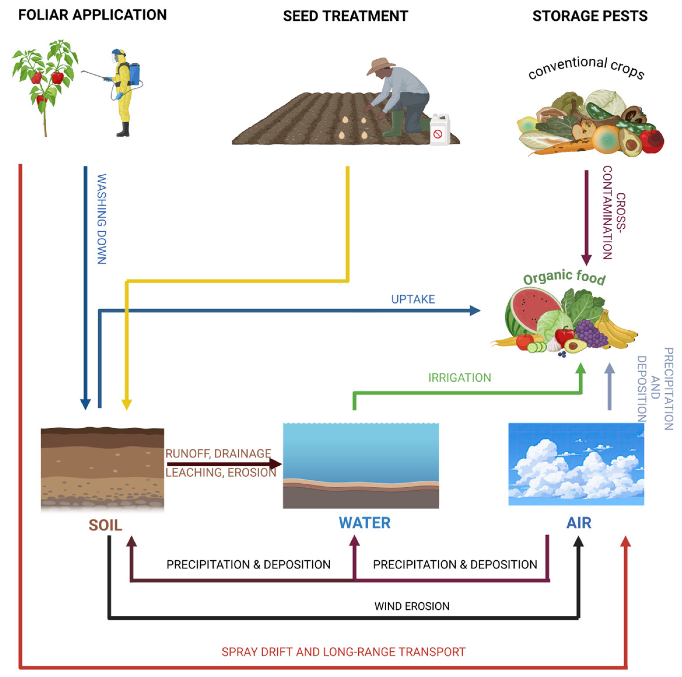 Nutrients 17 00727 g003