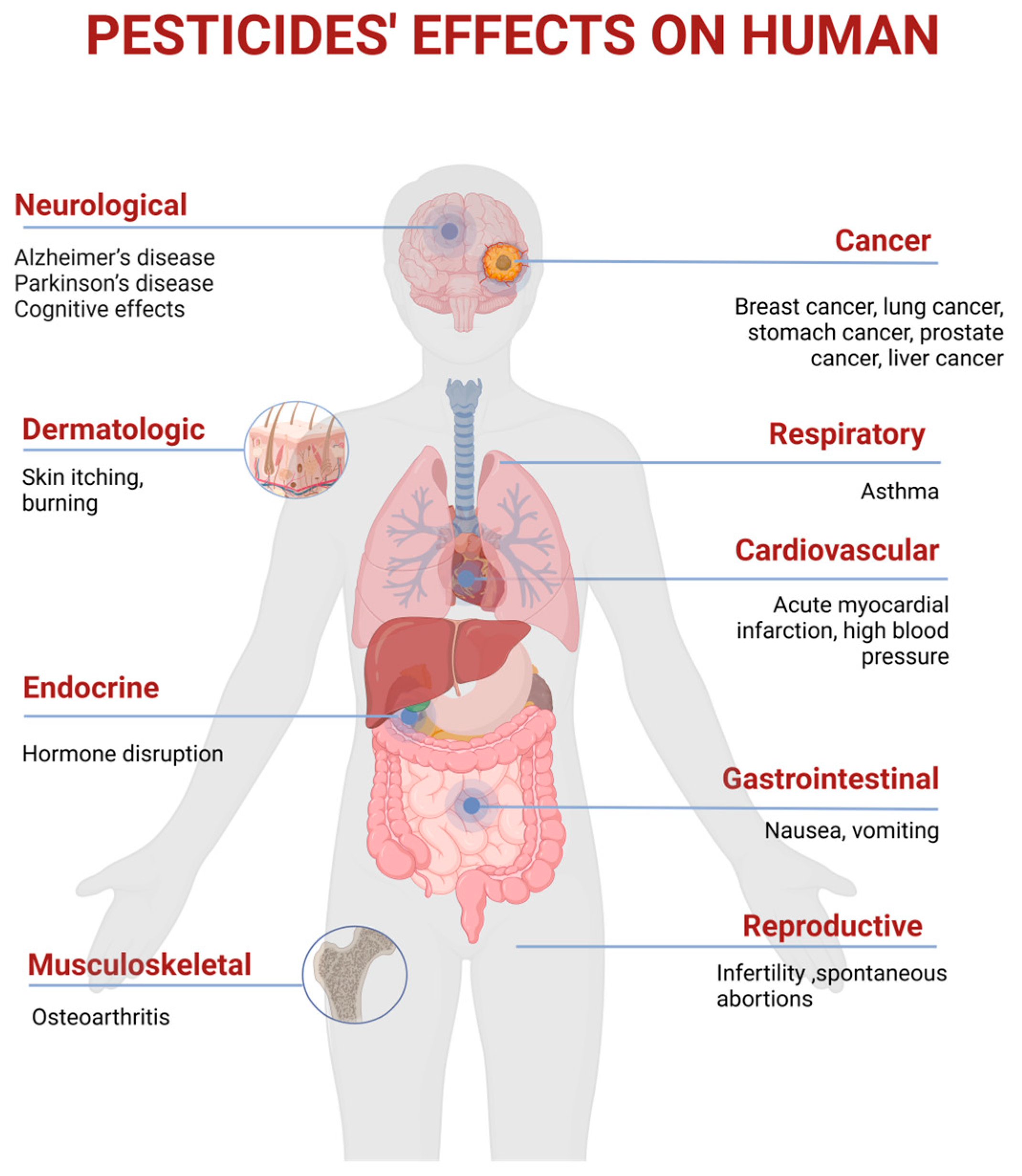 Nutrients 17 00727 g005