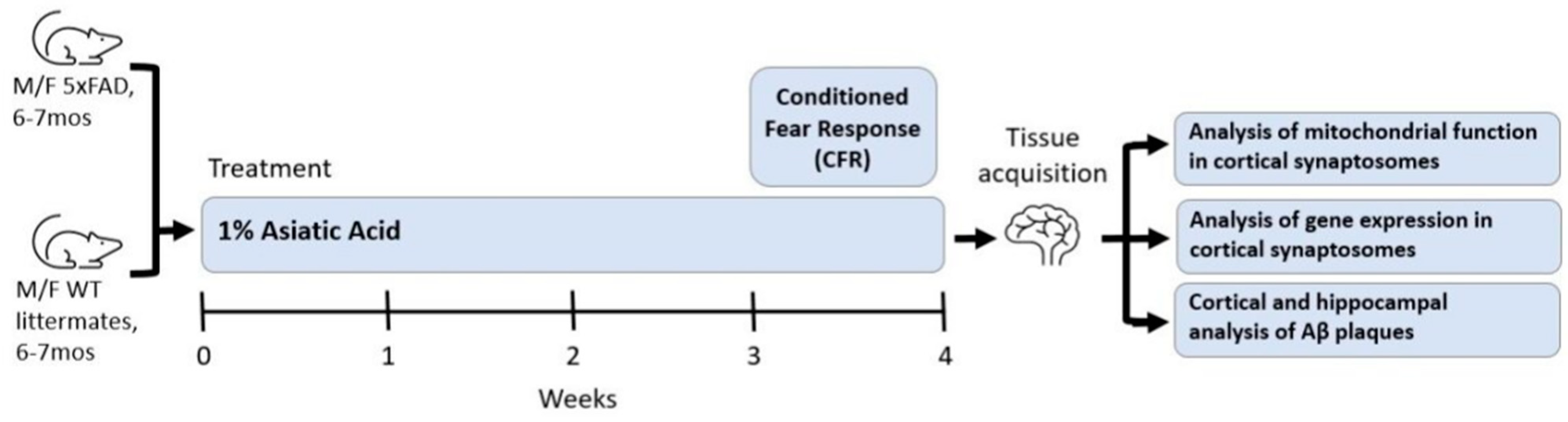Nutrients 17 00729 g001