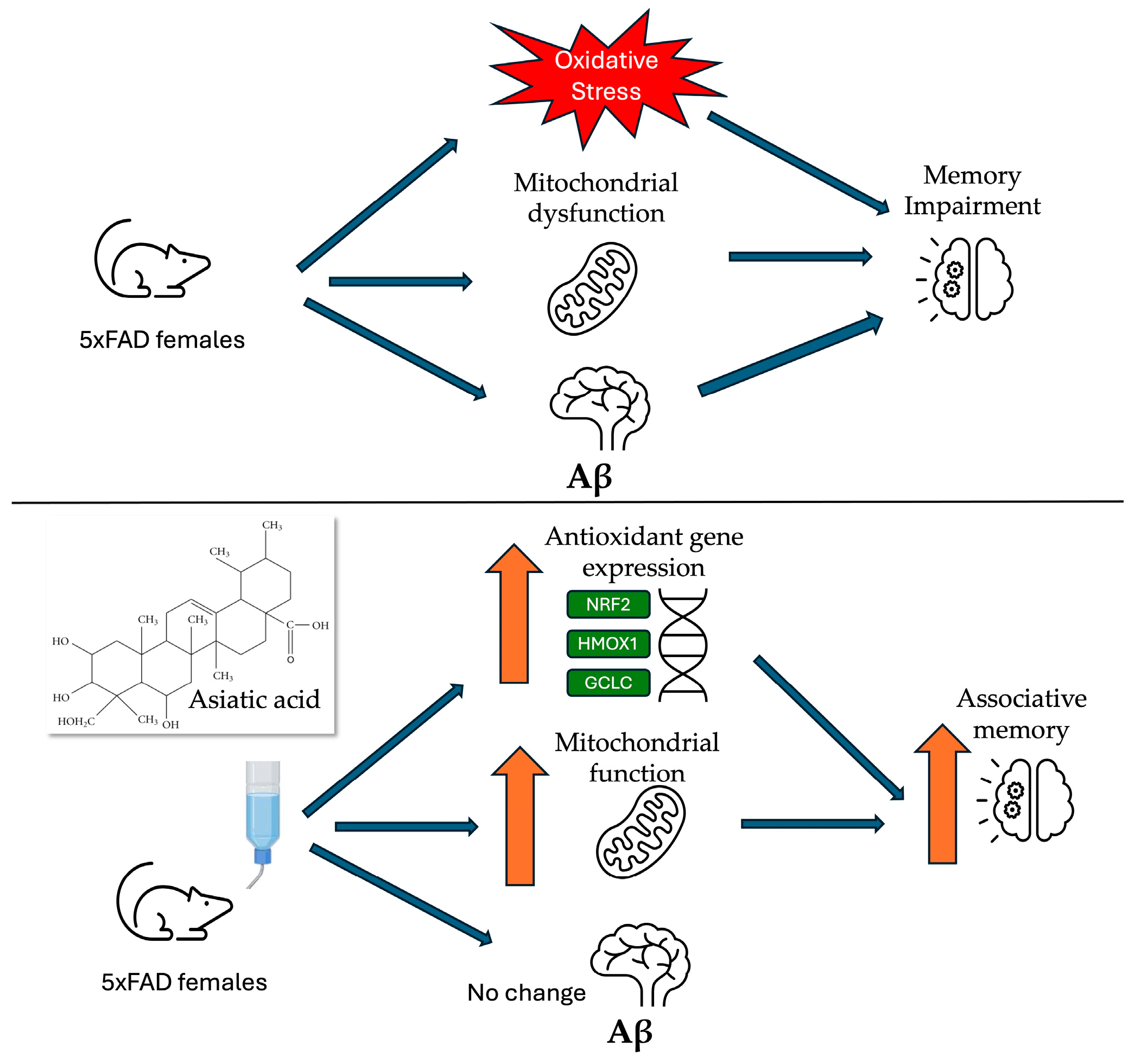 Nutrients 17 00729 g008