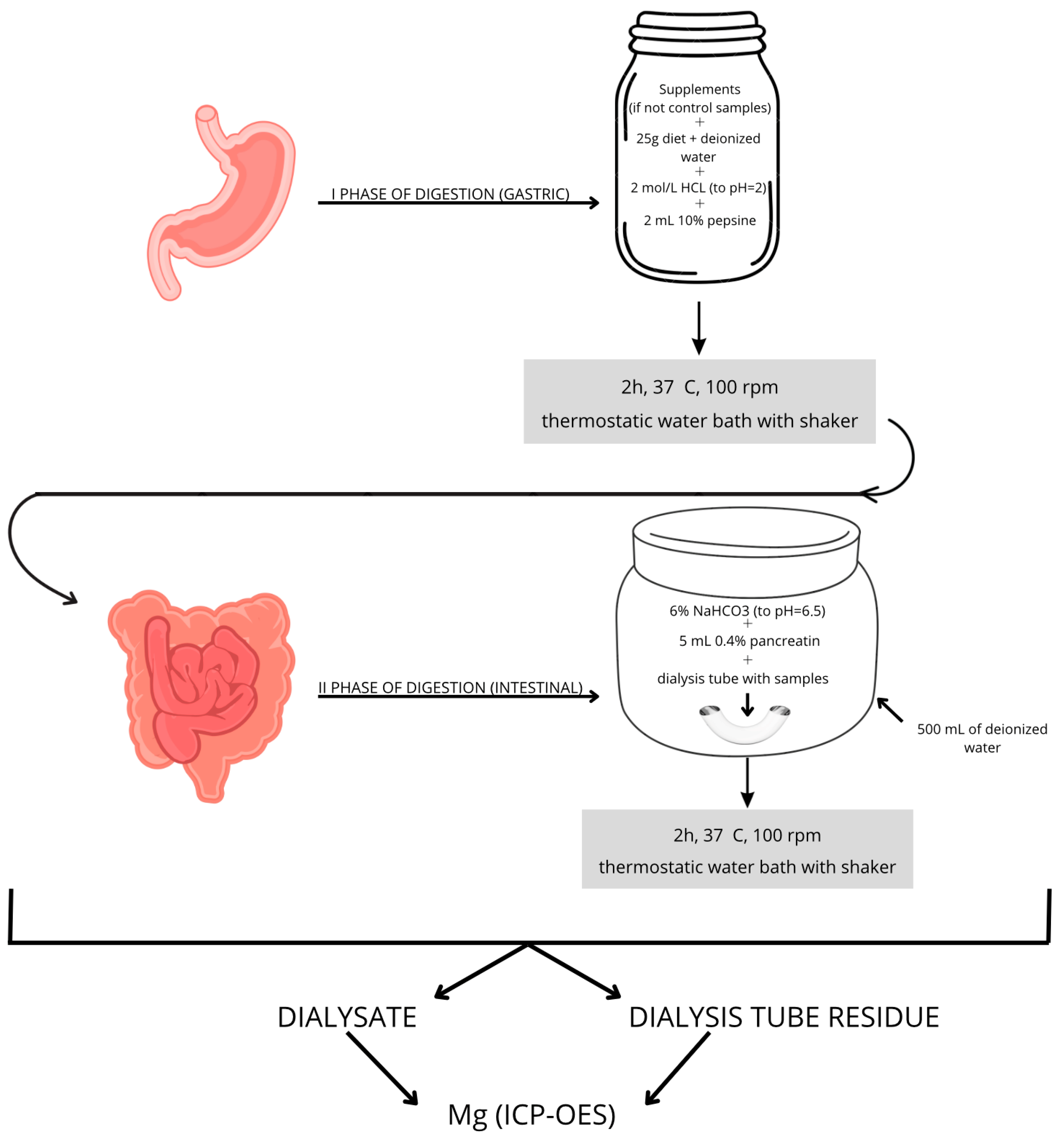 Nutrients 17 00748 g001