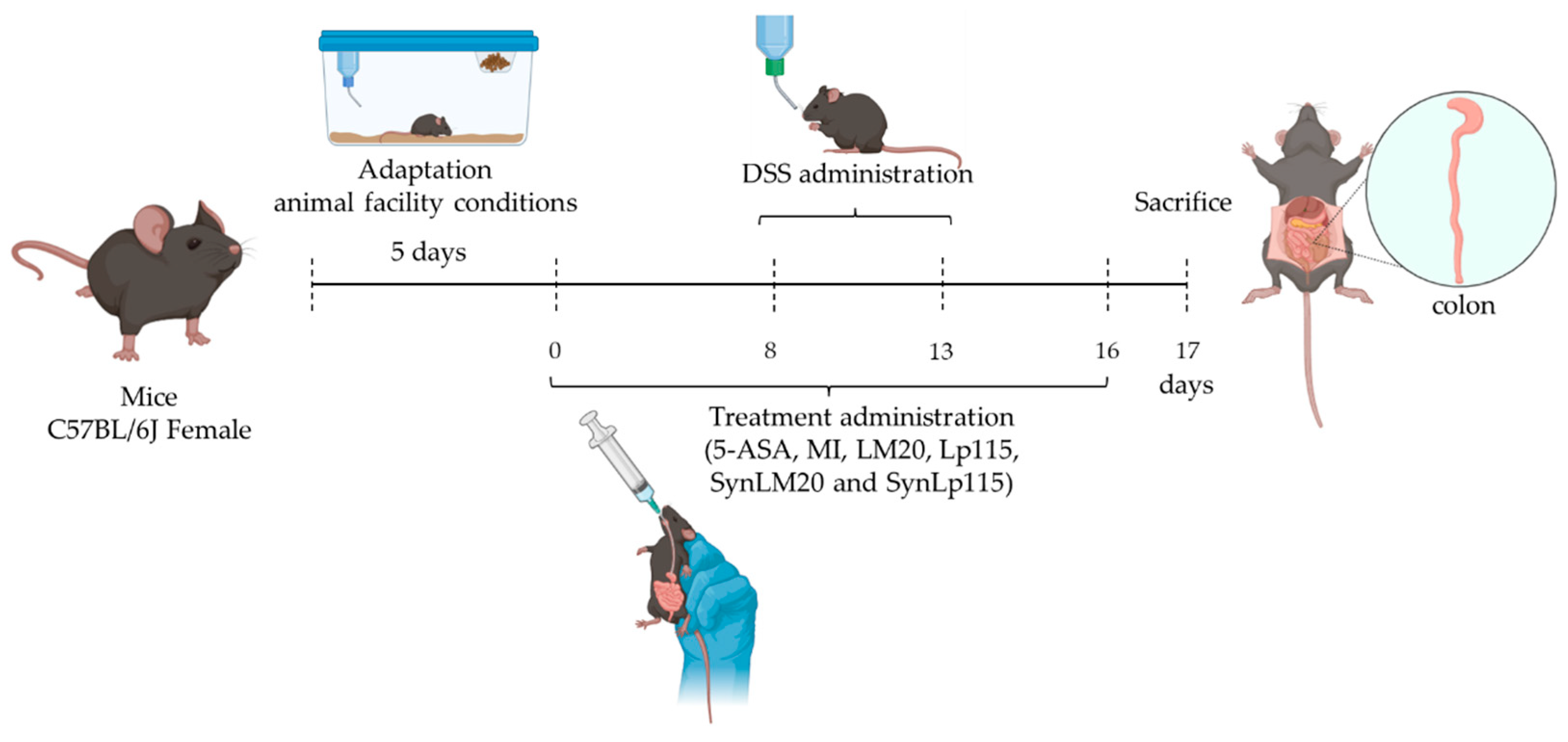 Nutrients 17 00749 g001