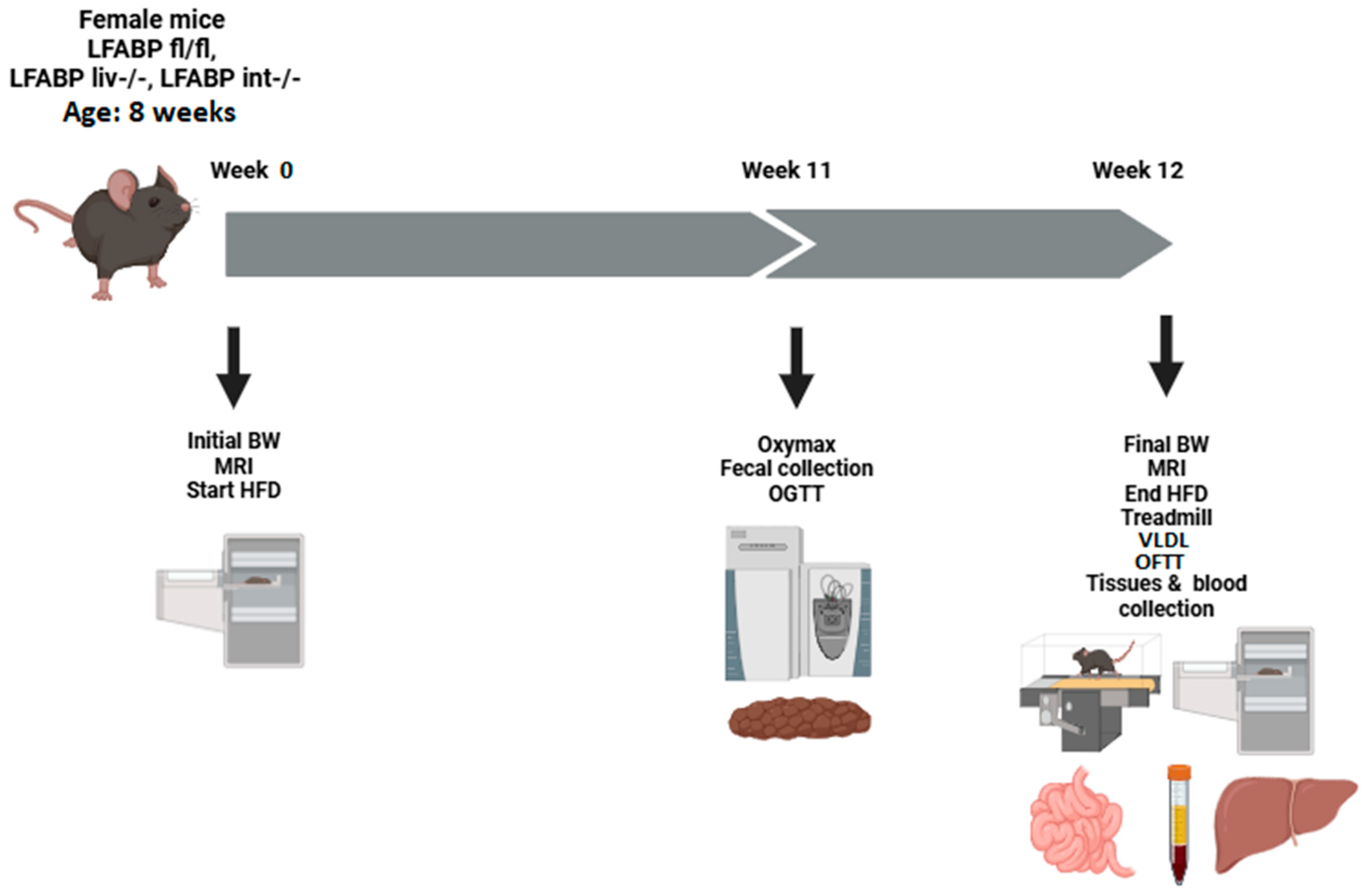 Nutrients 17 00753 g001 Nutrients 17 00753 g001