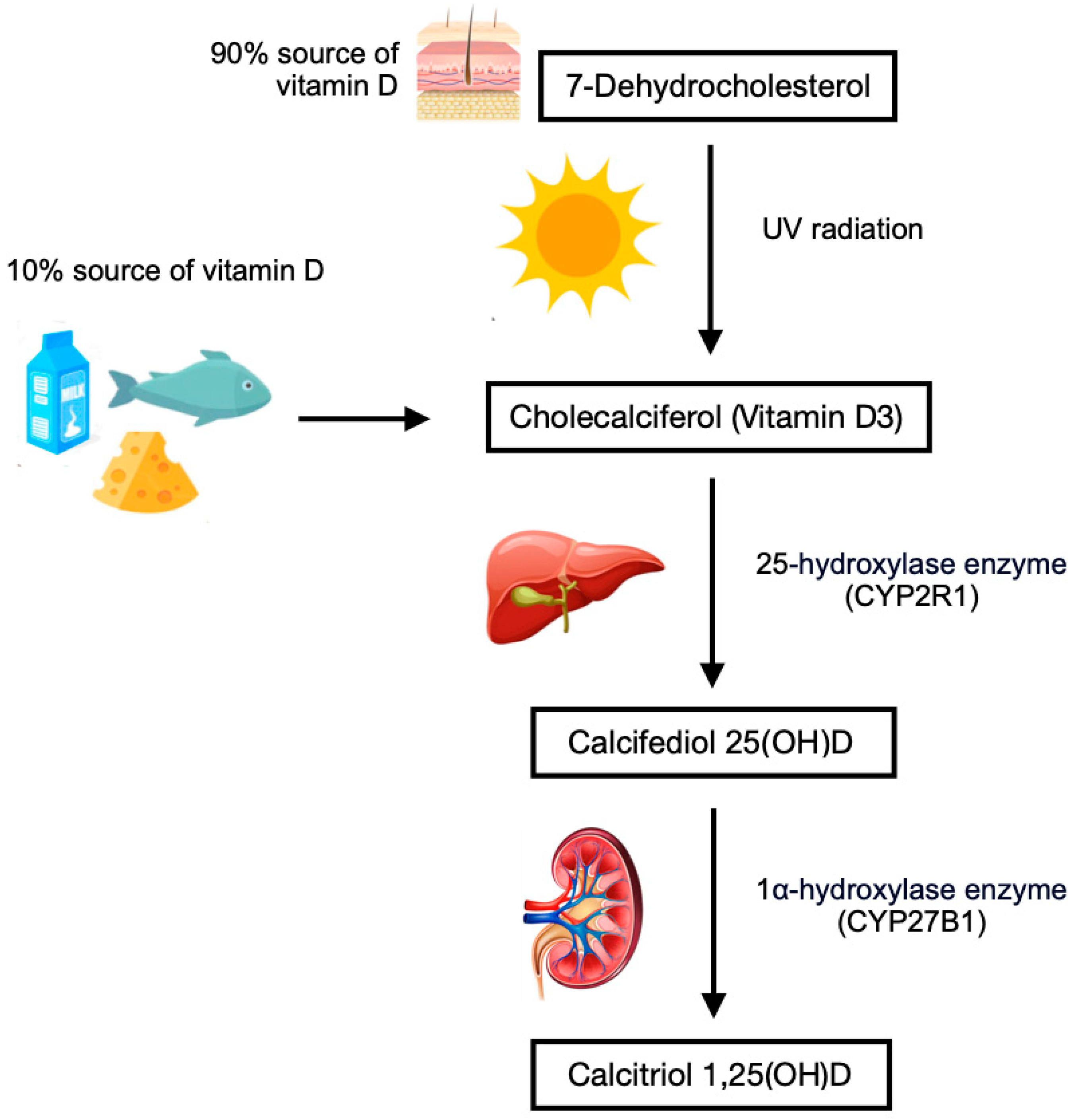 Nutrients 17 00783 g001