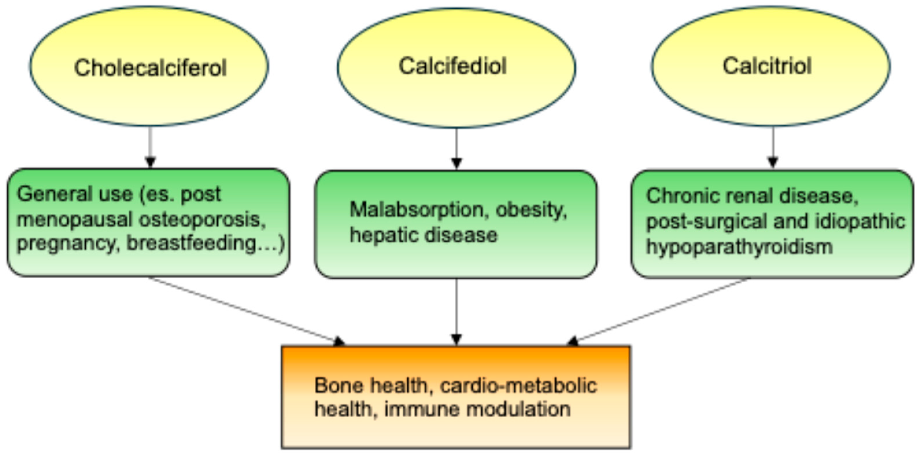 Nutrients 17 00783 g002