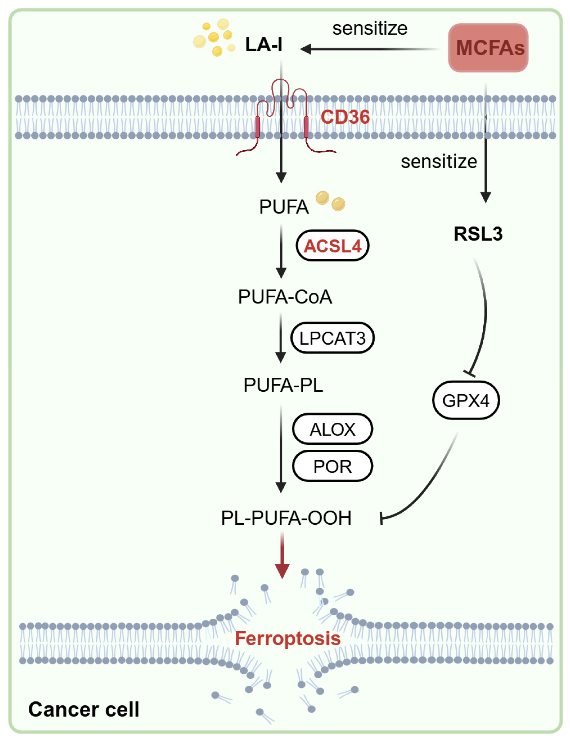 Nutrients 17 00794 g007