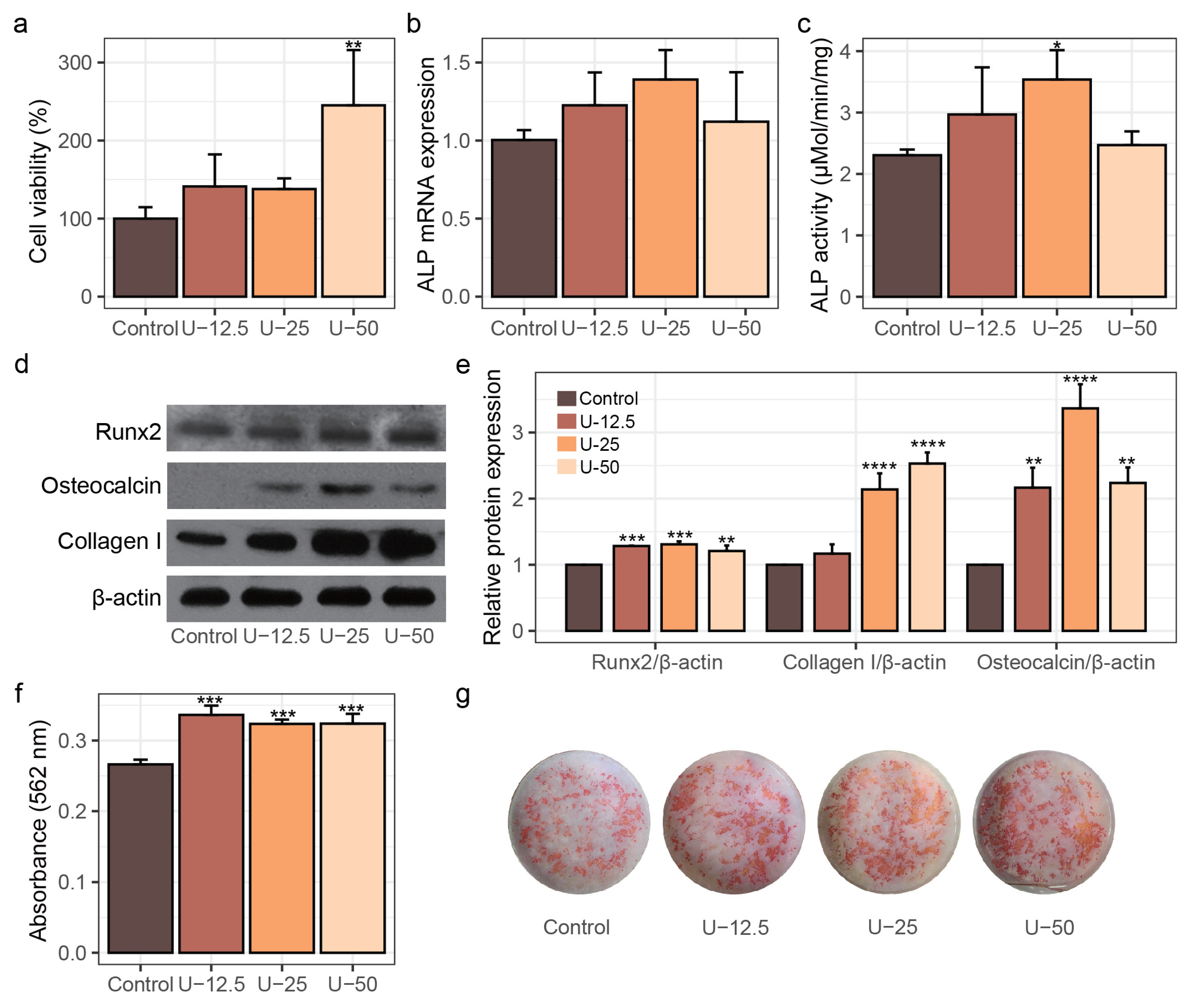 Nutrients 17 00824 g001