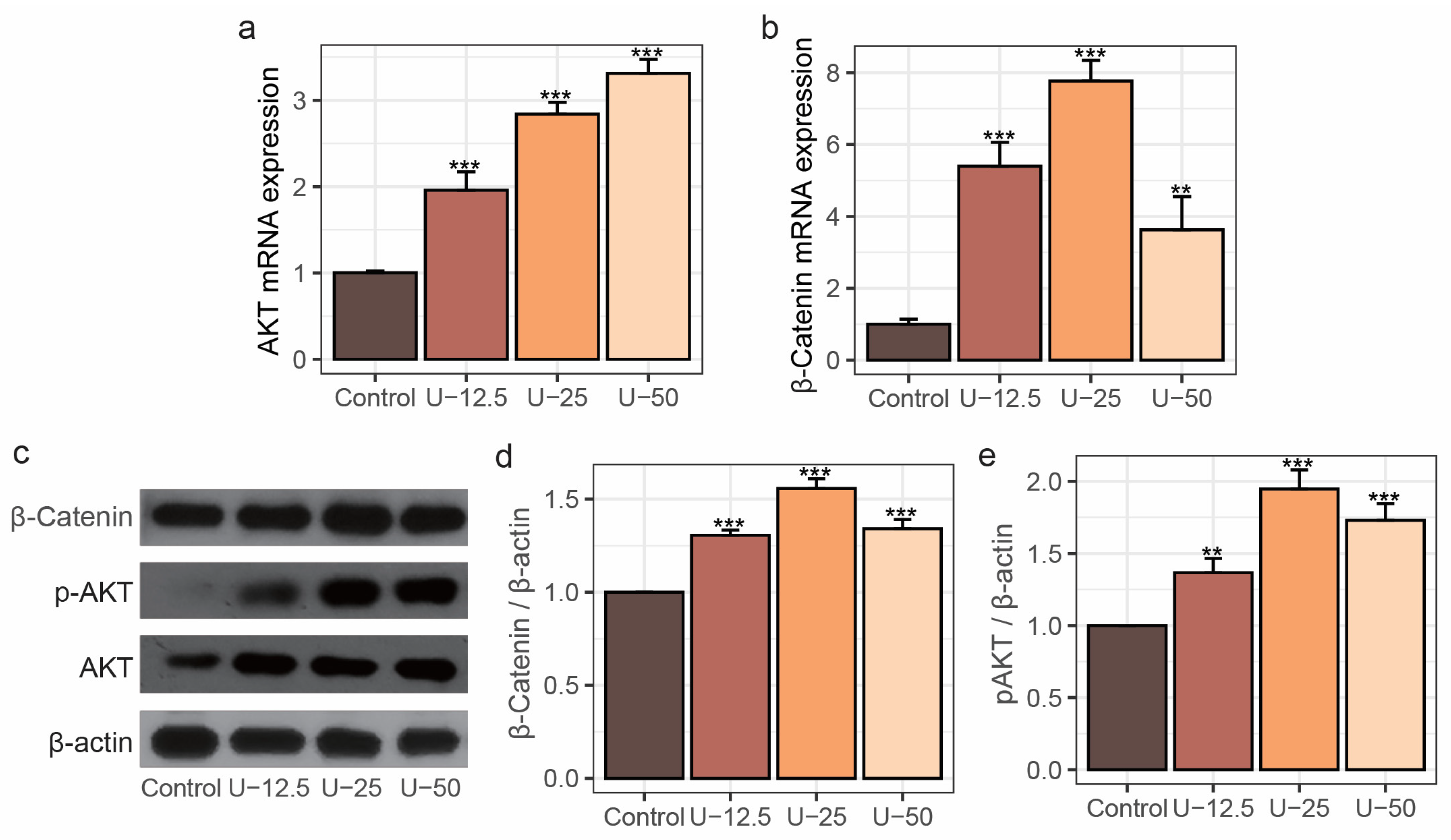 Nutrients 17 00824 g002