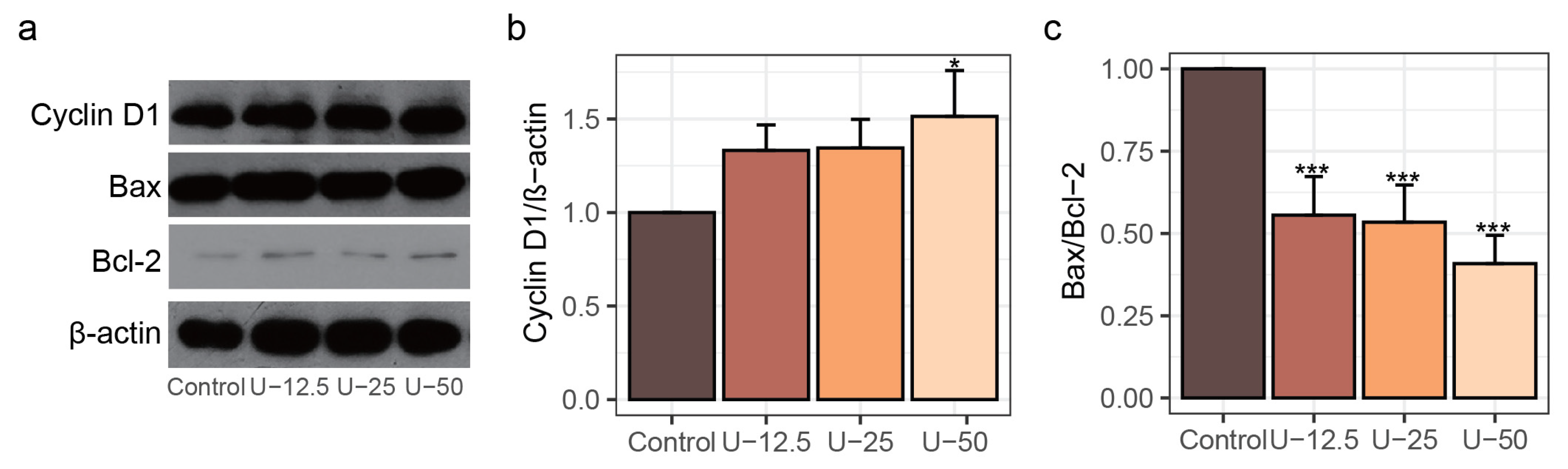 Nutrients 17 00824 g003
