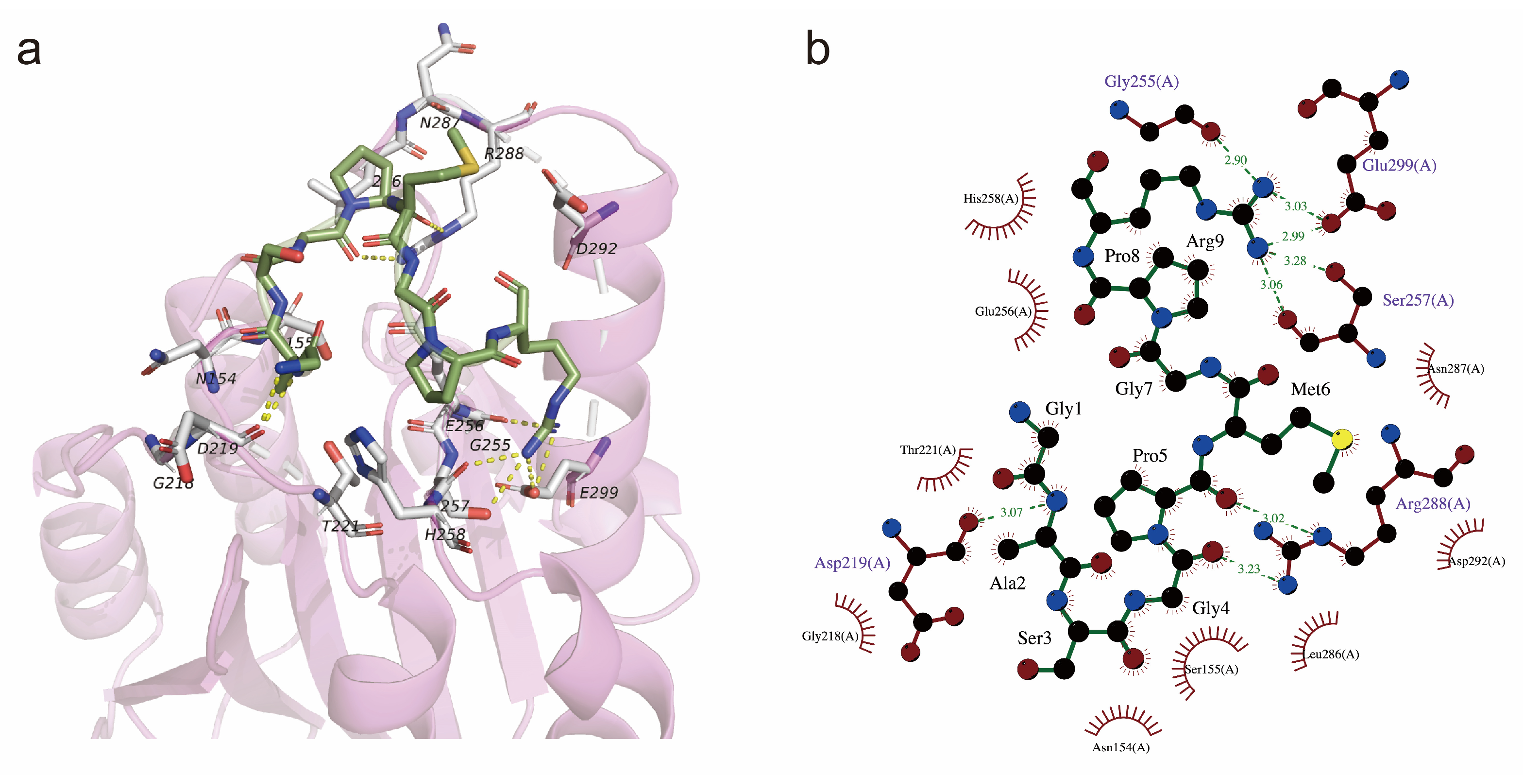 Nutrients 17 00824 g005