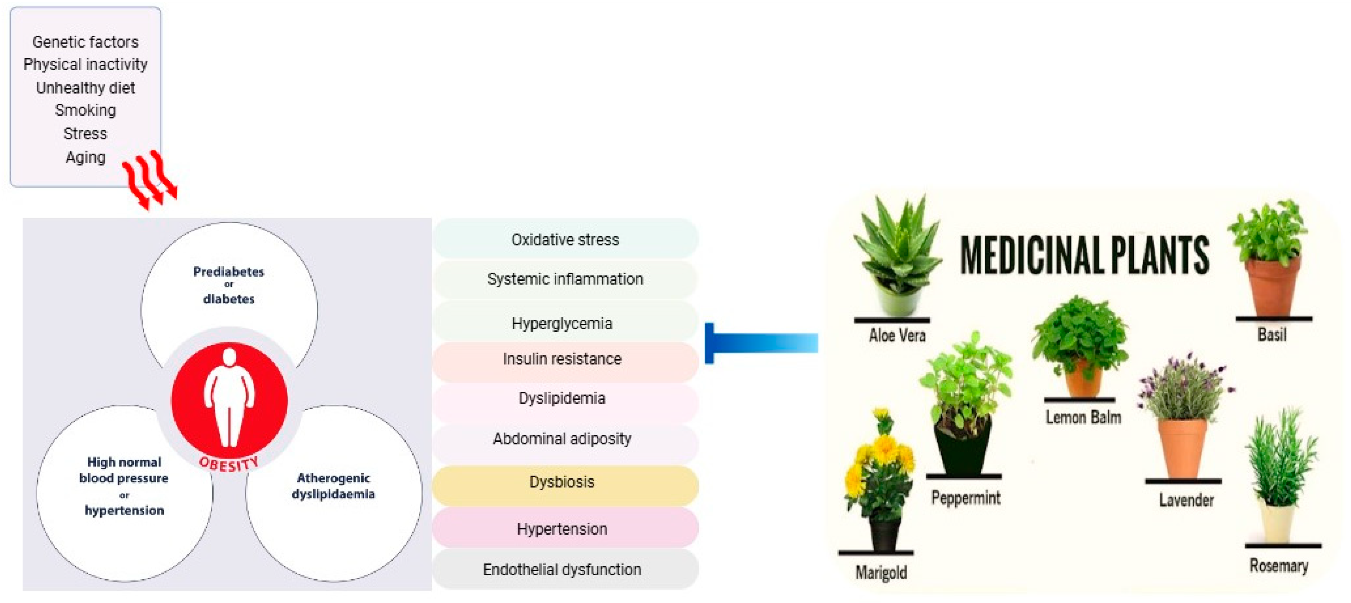 Nutrients 17 00877 g001