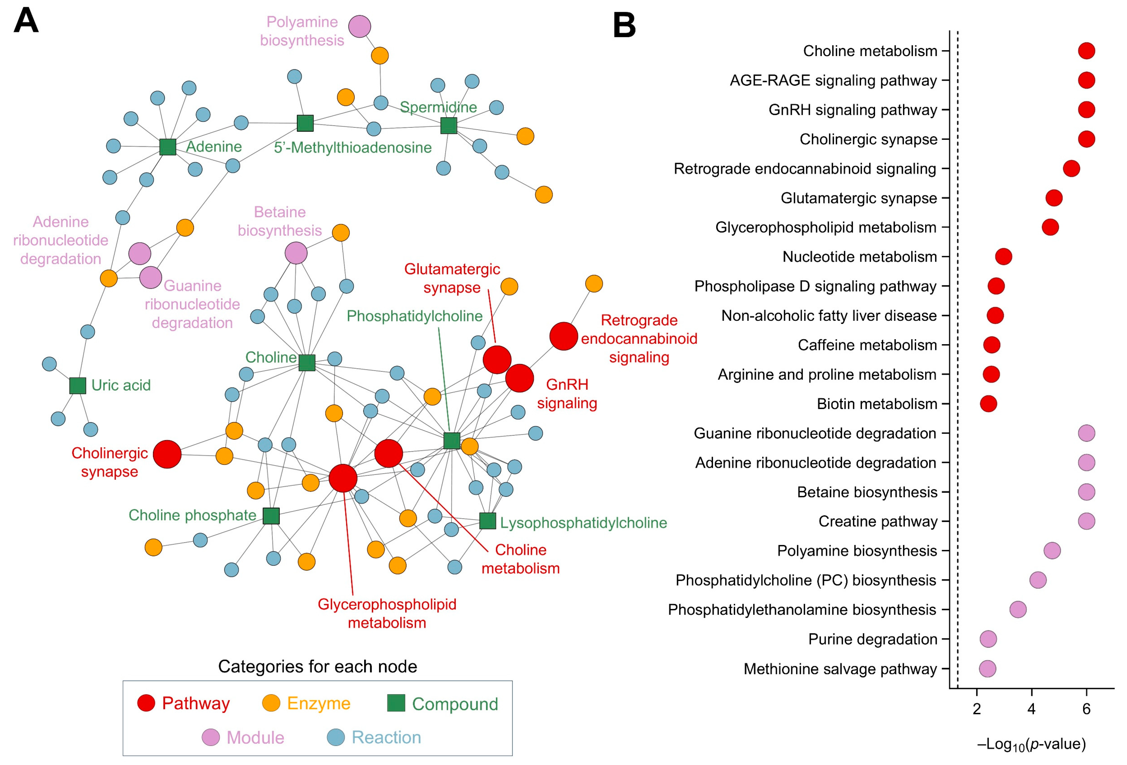 Nutrients 17 00885 g008