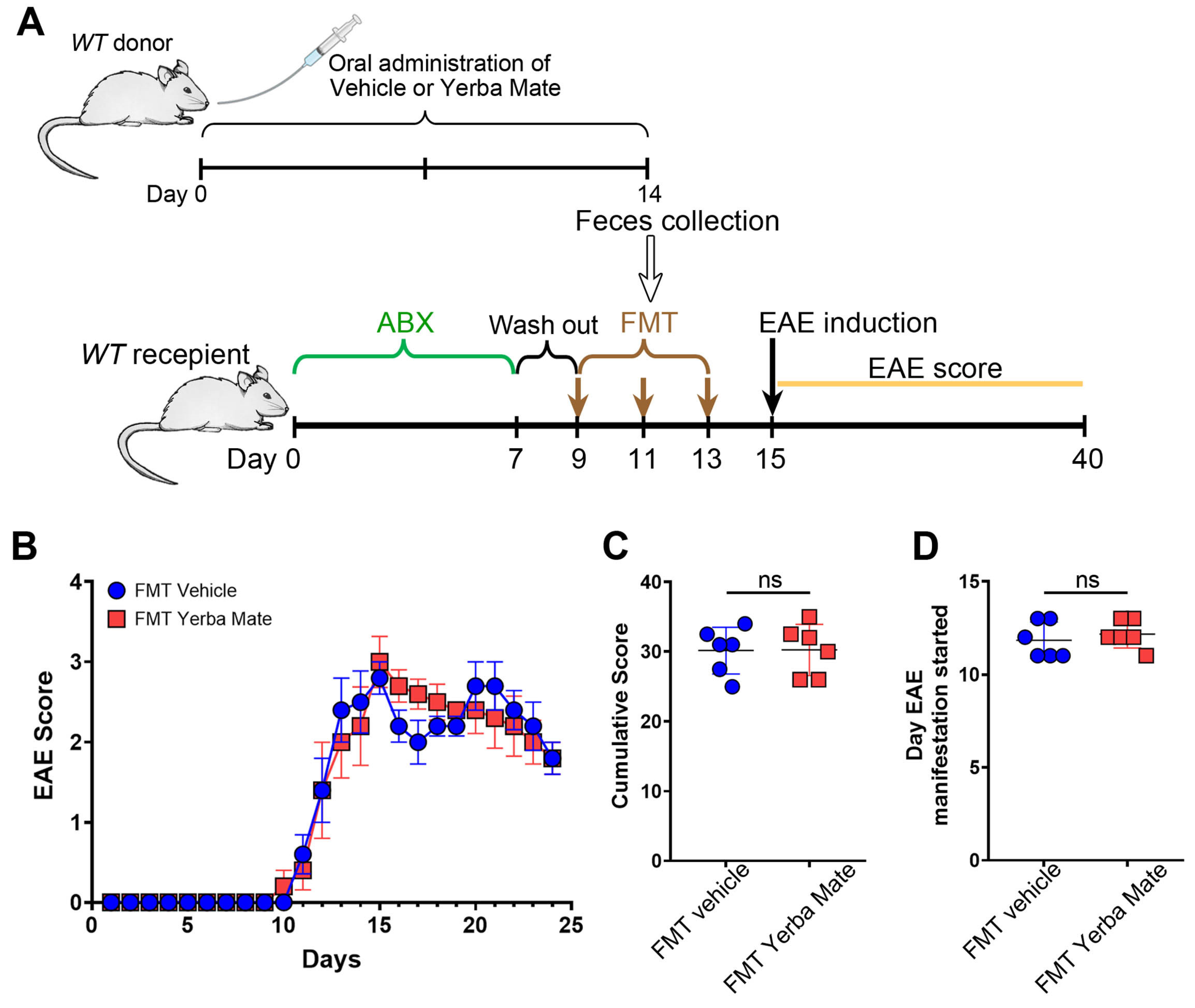 Nutrients 17 00897 g003