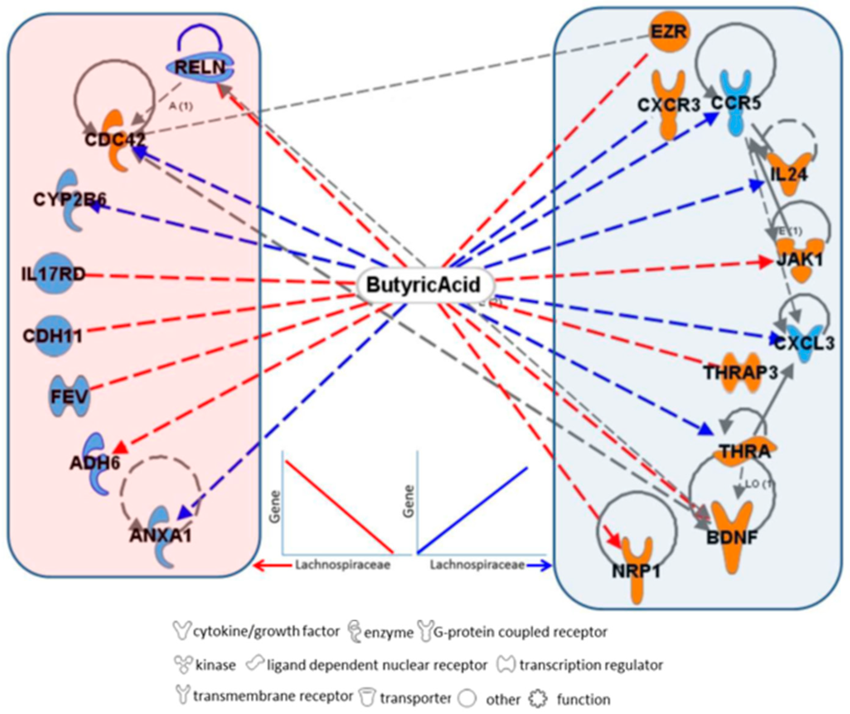 Nutrients 17 00921 g005