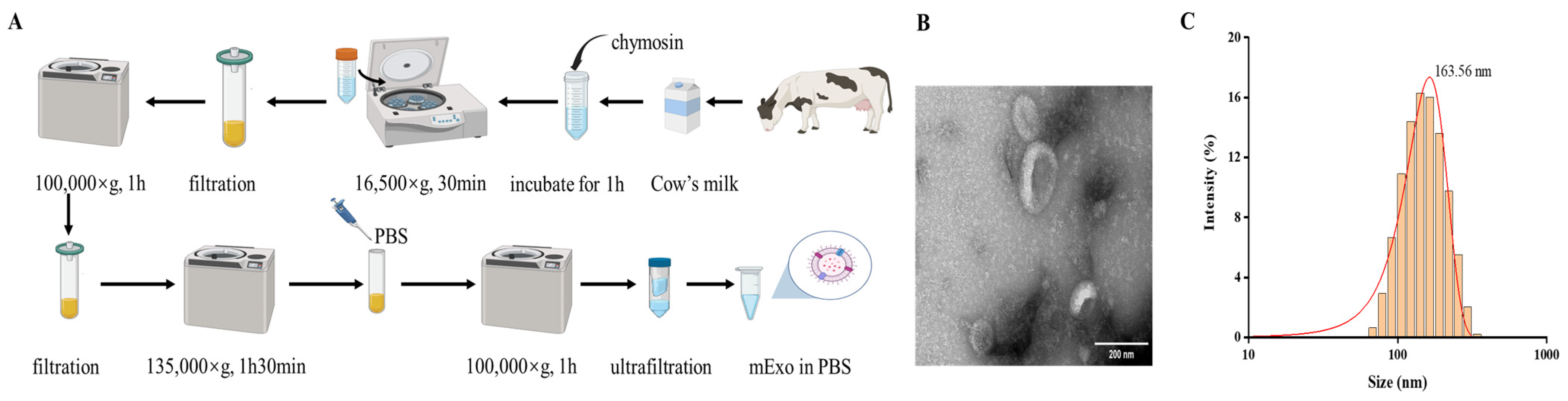 Nutrients 17 00923 g001 Nutrients 17 00923 g001