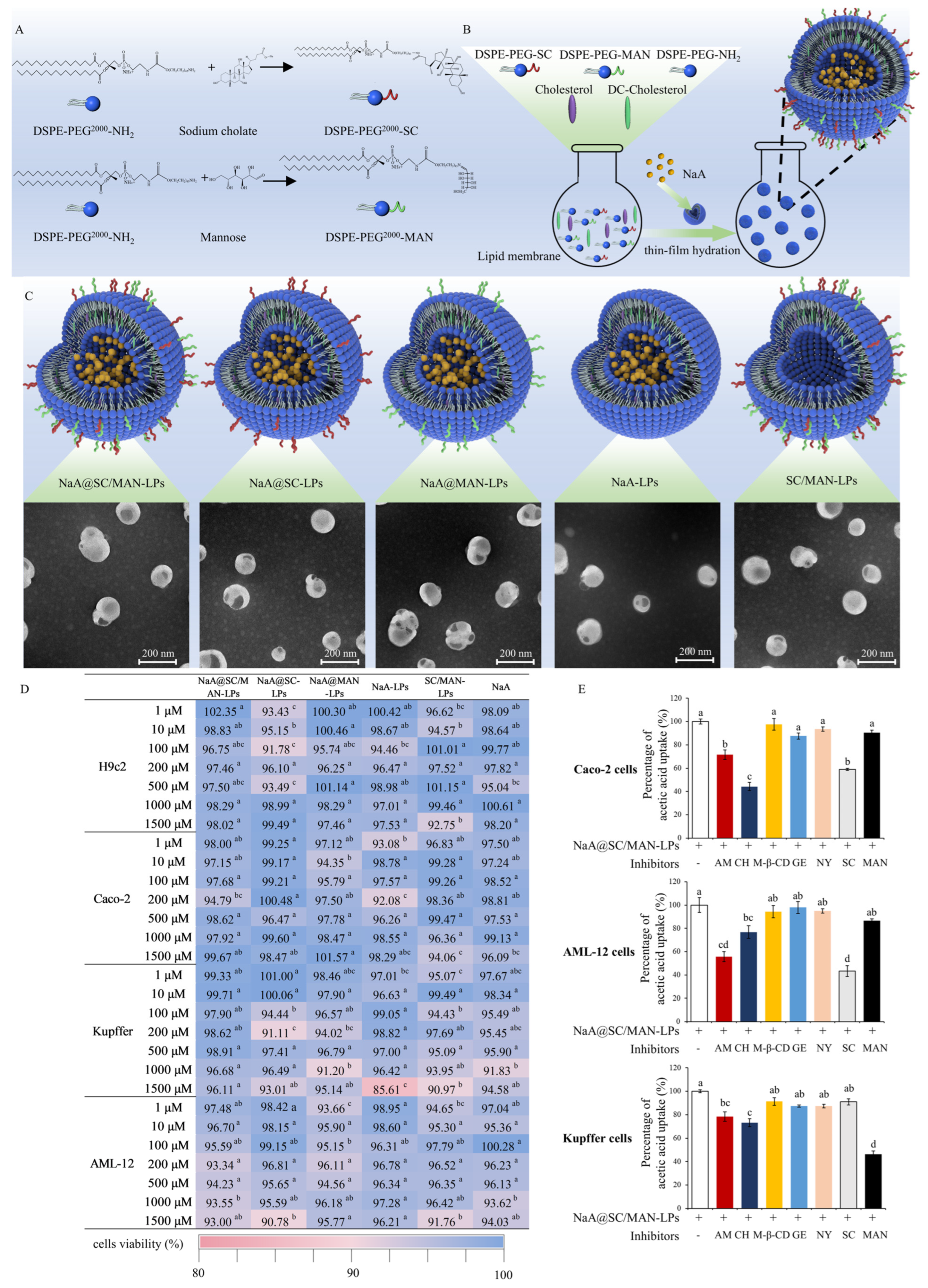 Nutrients 17 00930 g001