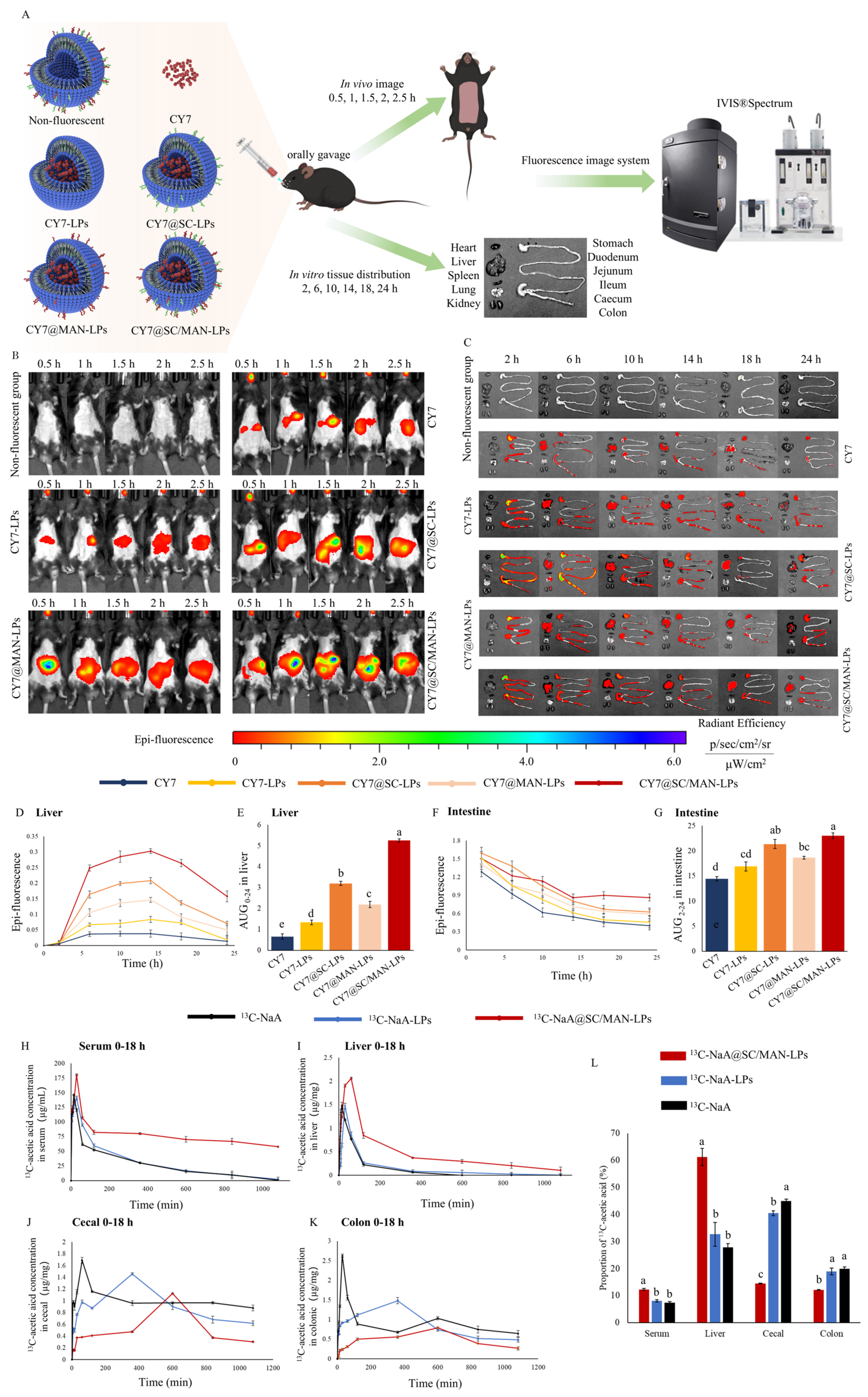Nutrients 17 00930 g002