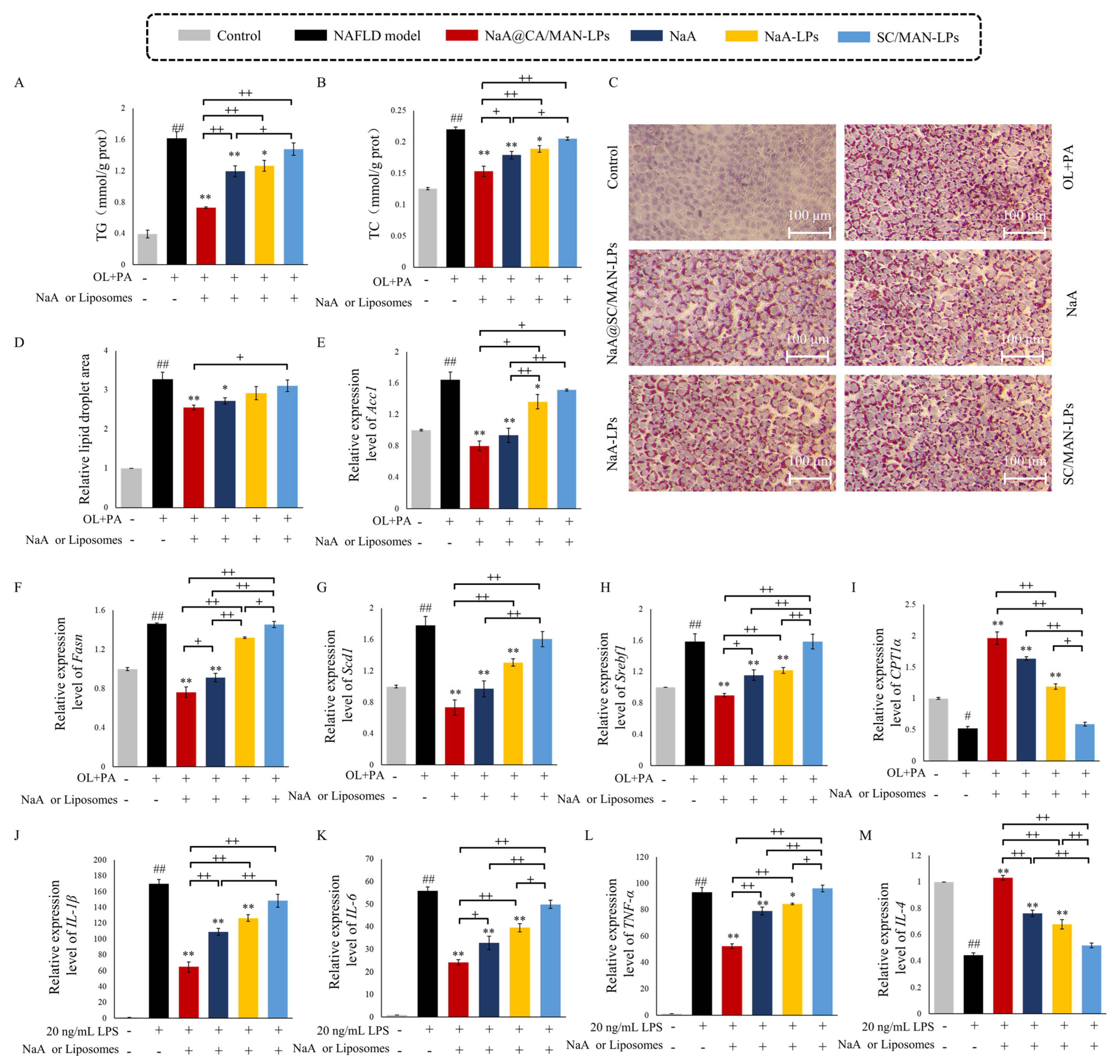 Nutrients 17 00930 g003