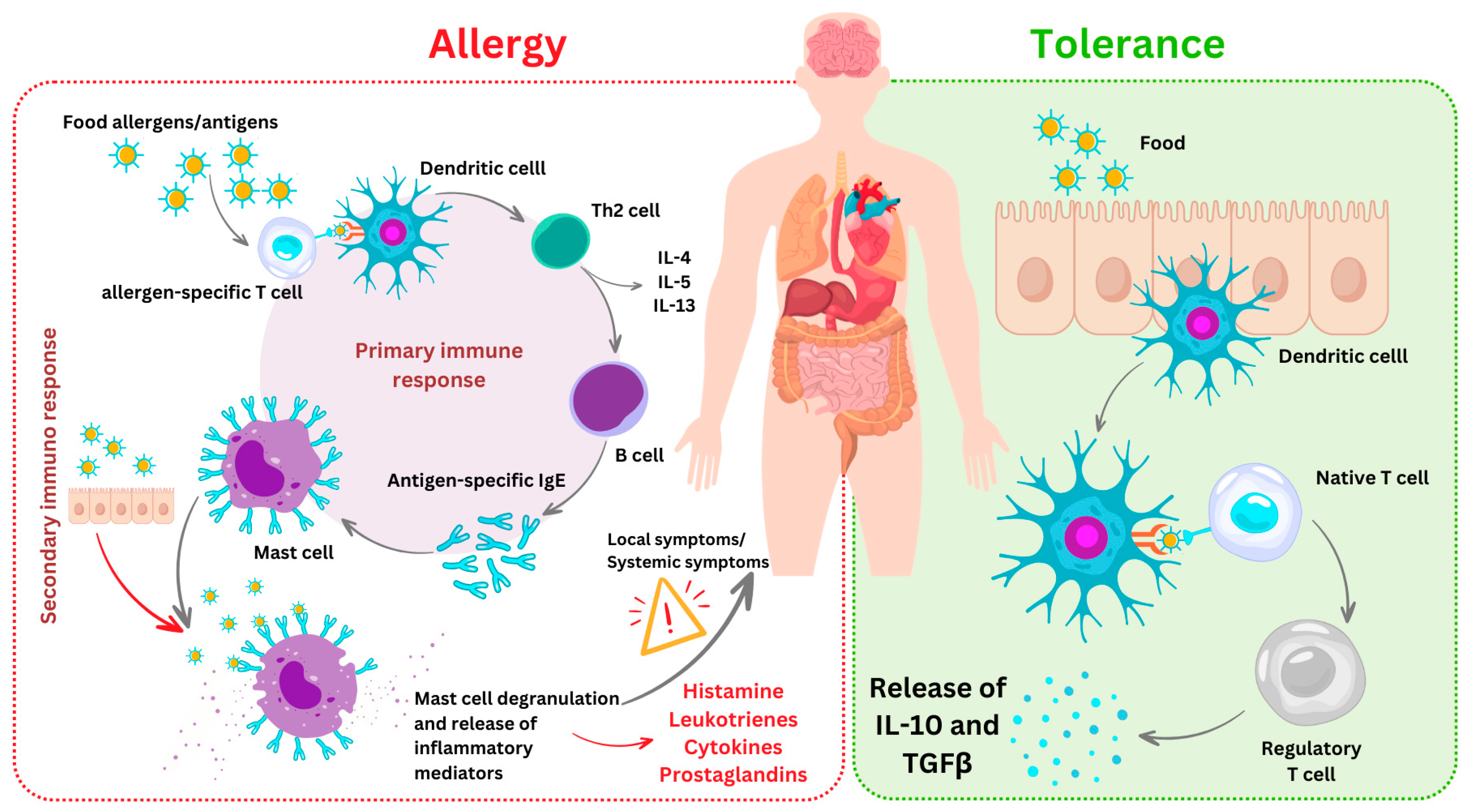 Nutrients 17 00938 g002
