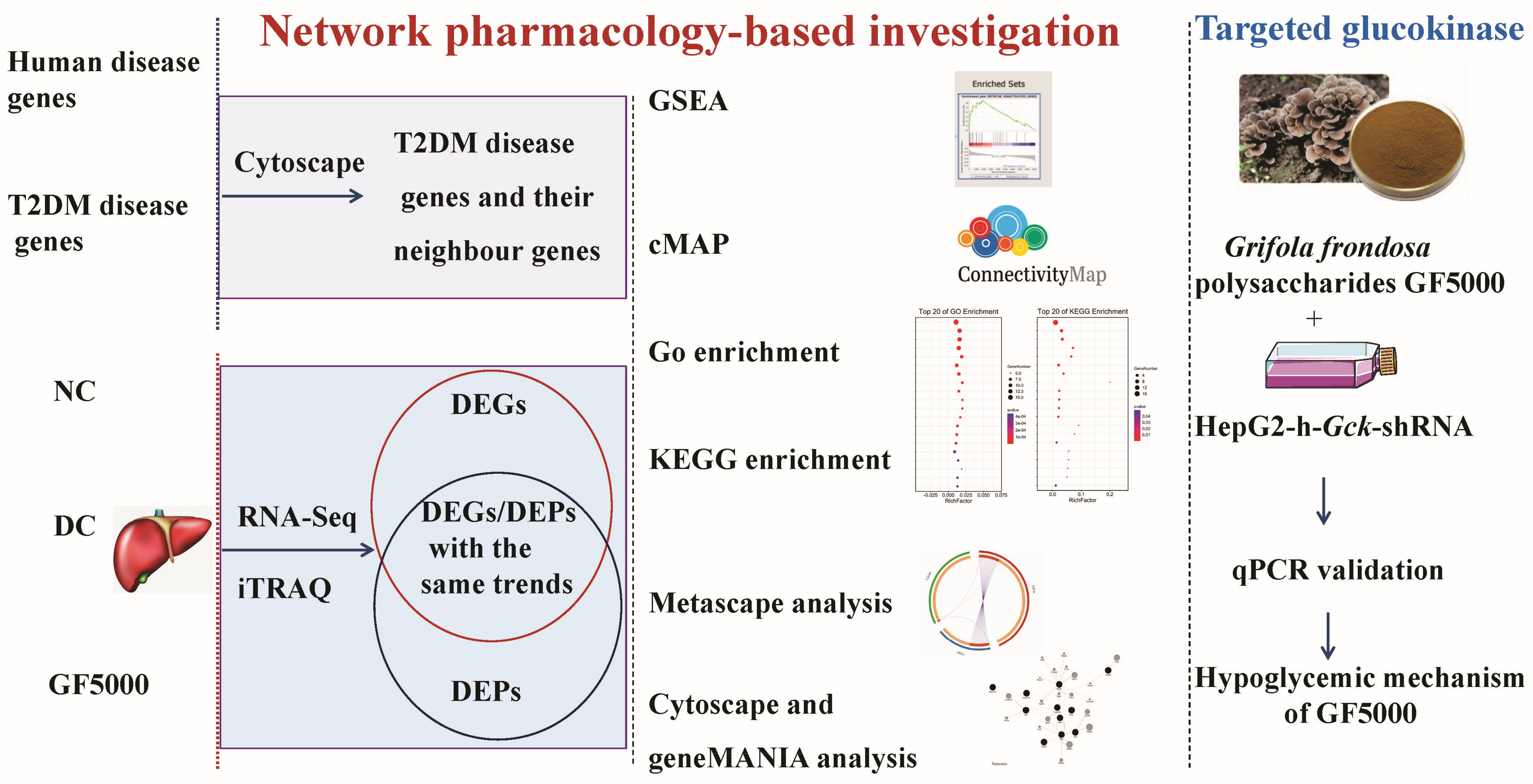 Nutrients 17 00964 g001