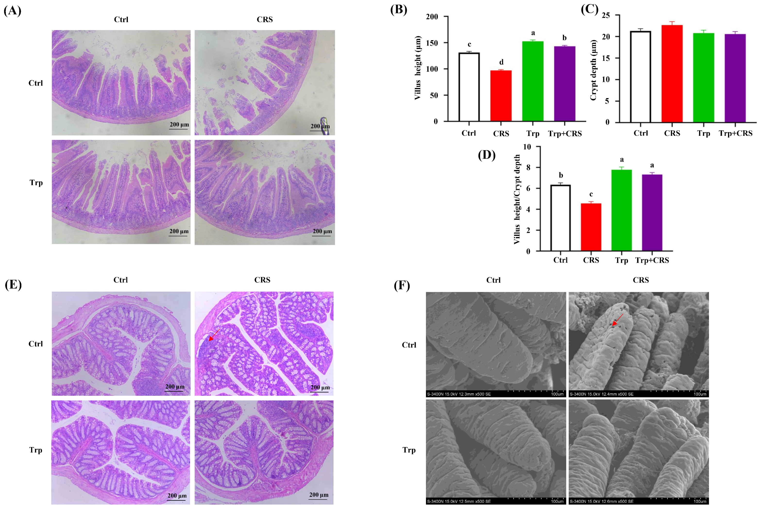 Nutrients 17 00975 g002